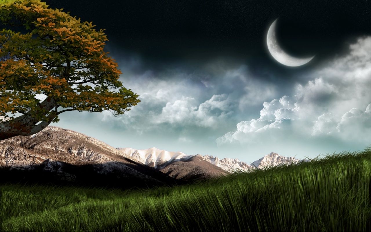 Albero luna montagne notte, 1280x800 720p, Laptop