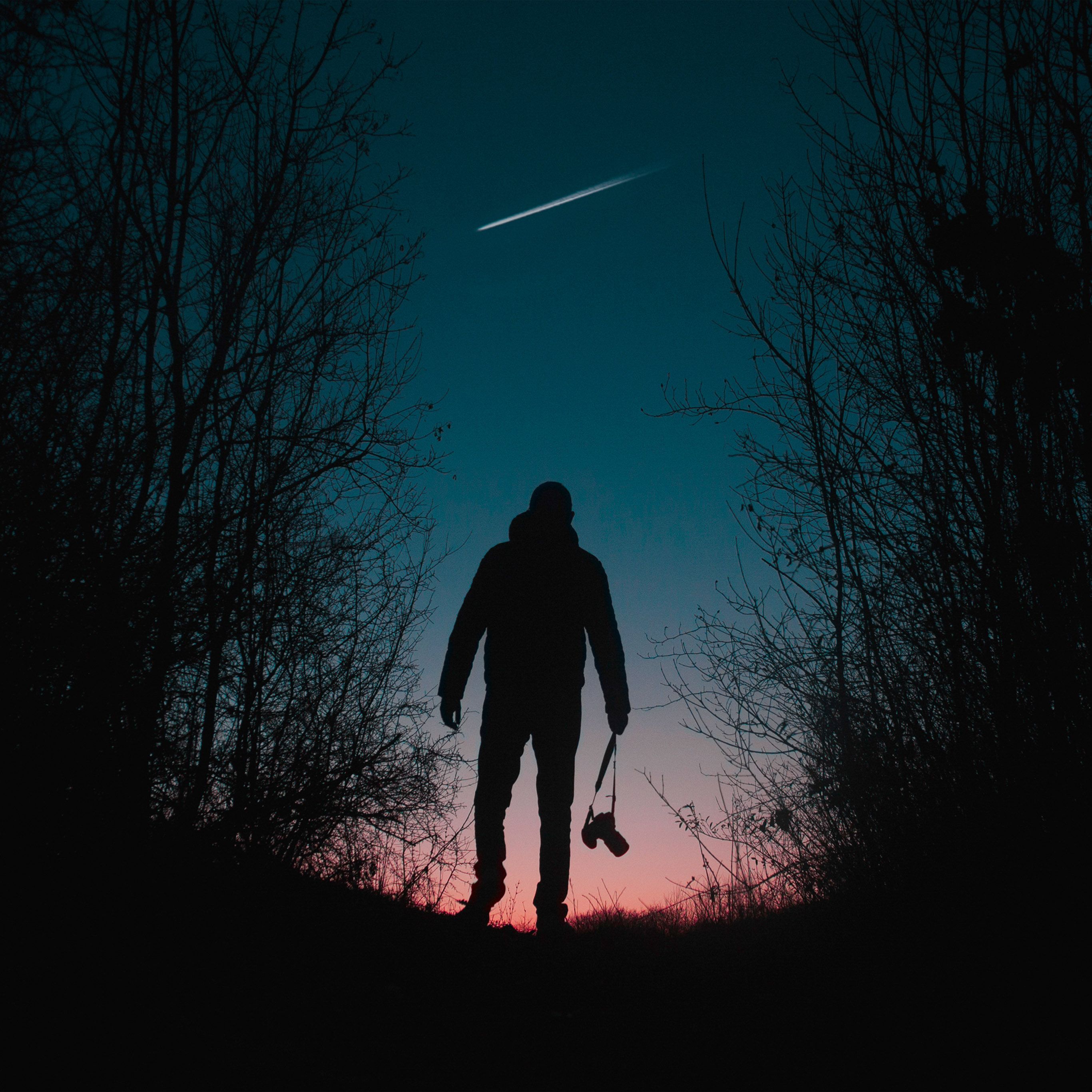 Silhouette uomo bosco notte stellata, 2732x2732 2K, PC