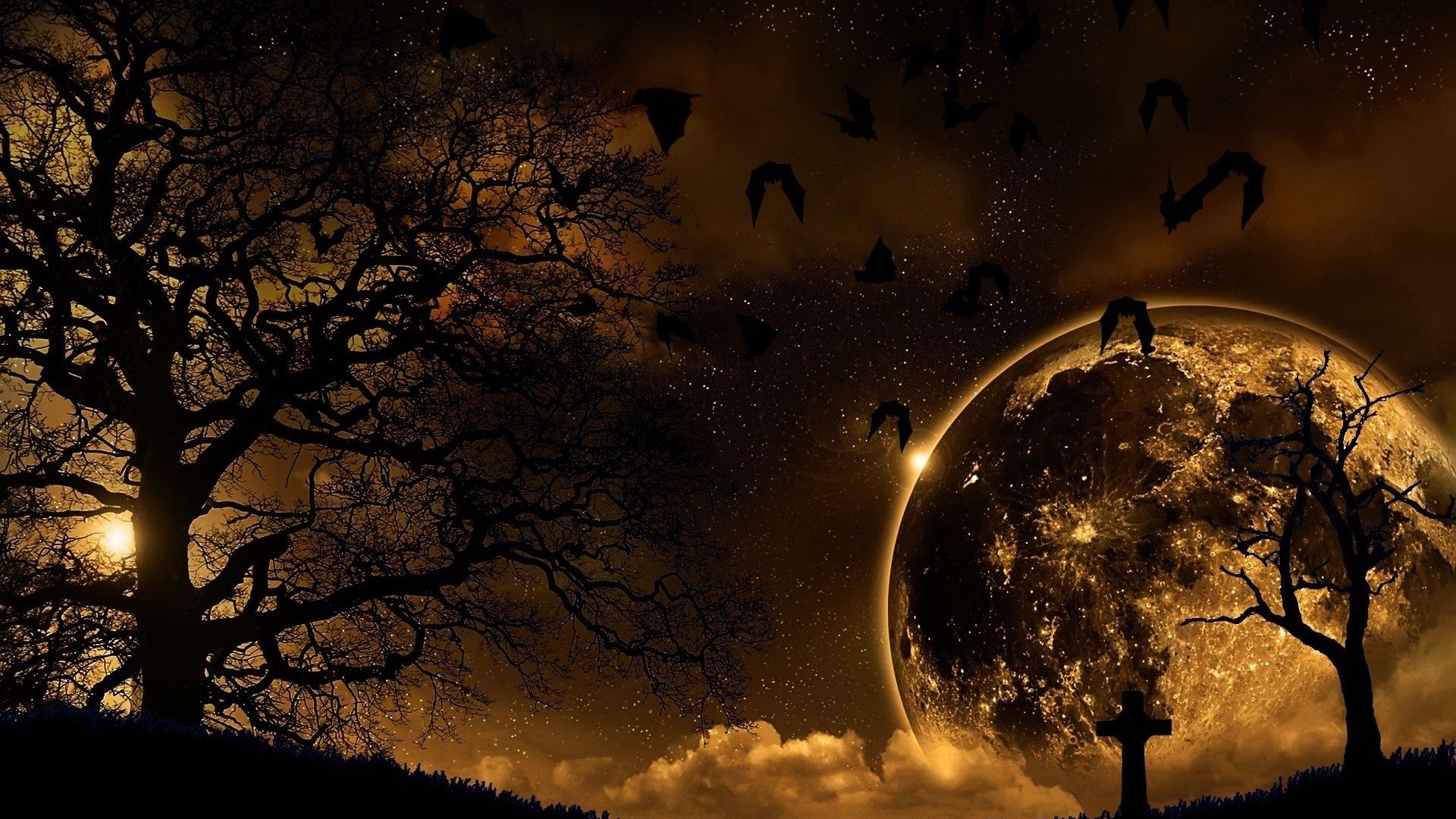 Alberi, luna e uccelli notturni, 1920x1080 1080p, PC Desktop