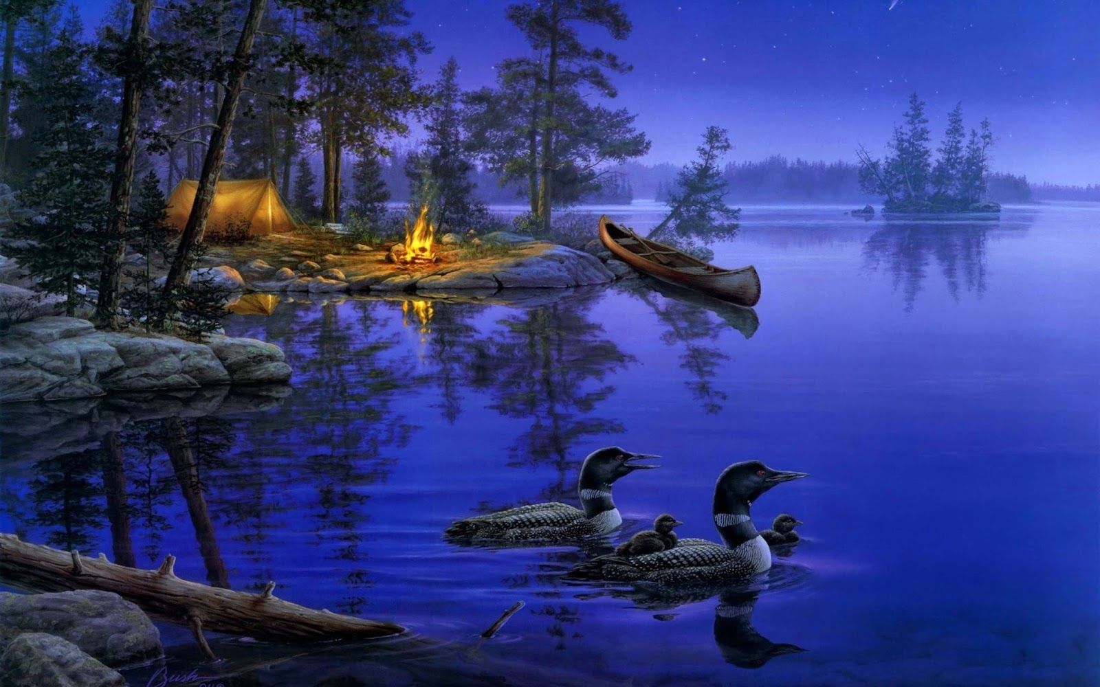 Lago notturno con anatre e falò, 1600x1000 900p, Desktop
