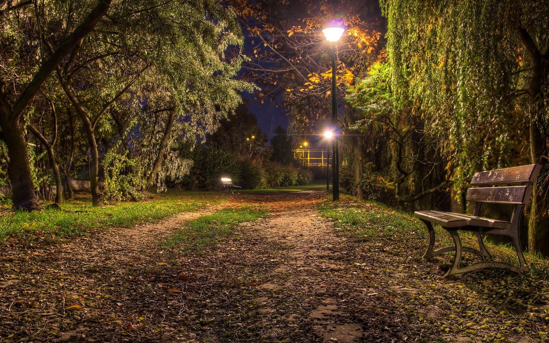 Parco notturno con panchina e lampioni, 1920x1200 Full HD+ WUXGA, Desktop