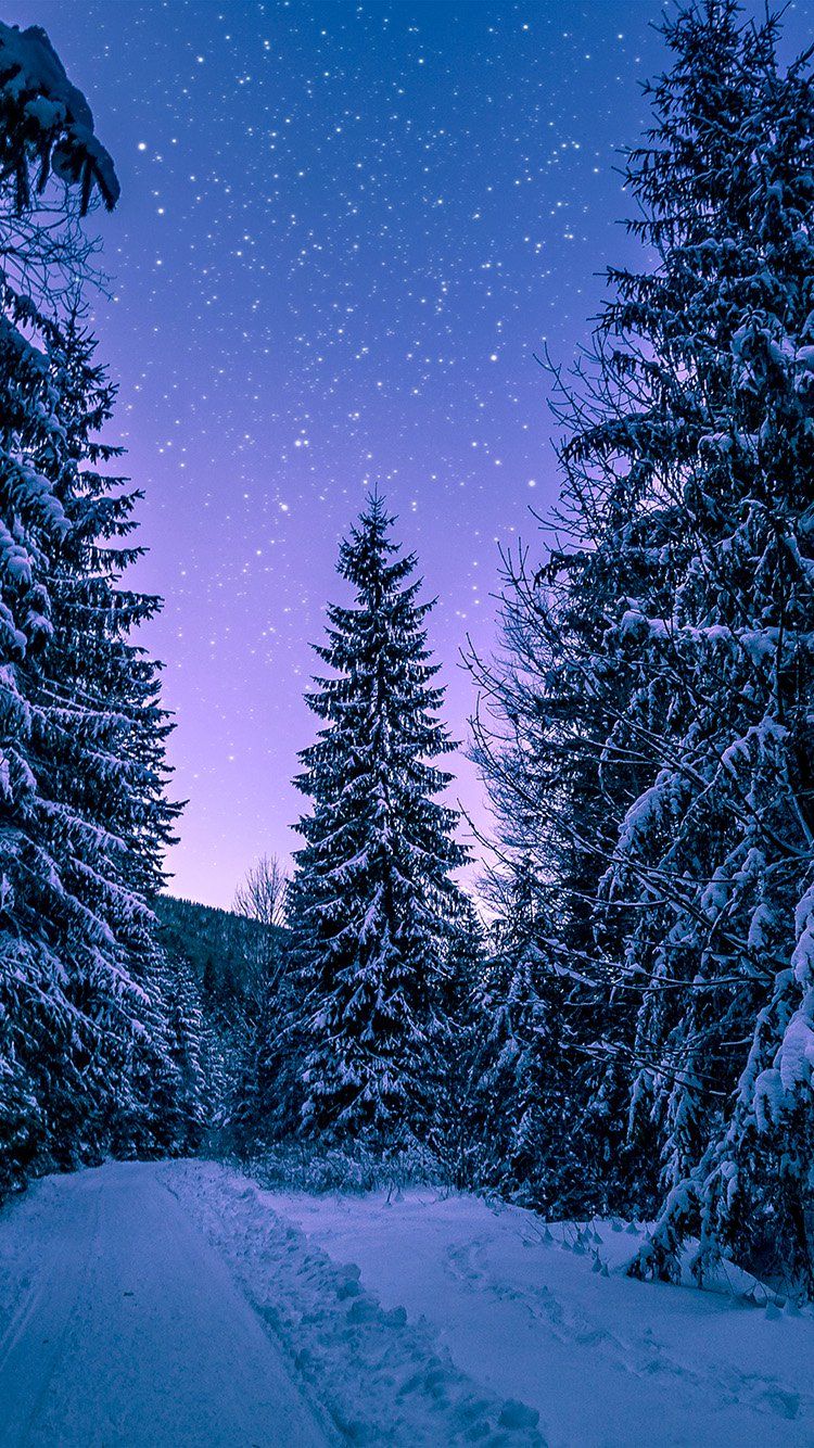 Foresta innevata di notte, 750x1334 Full HD Verticale, iPhone