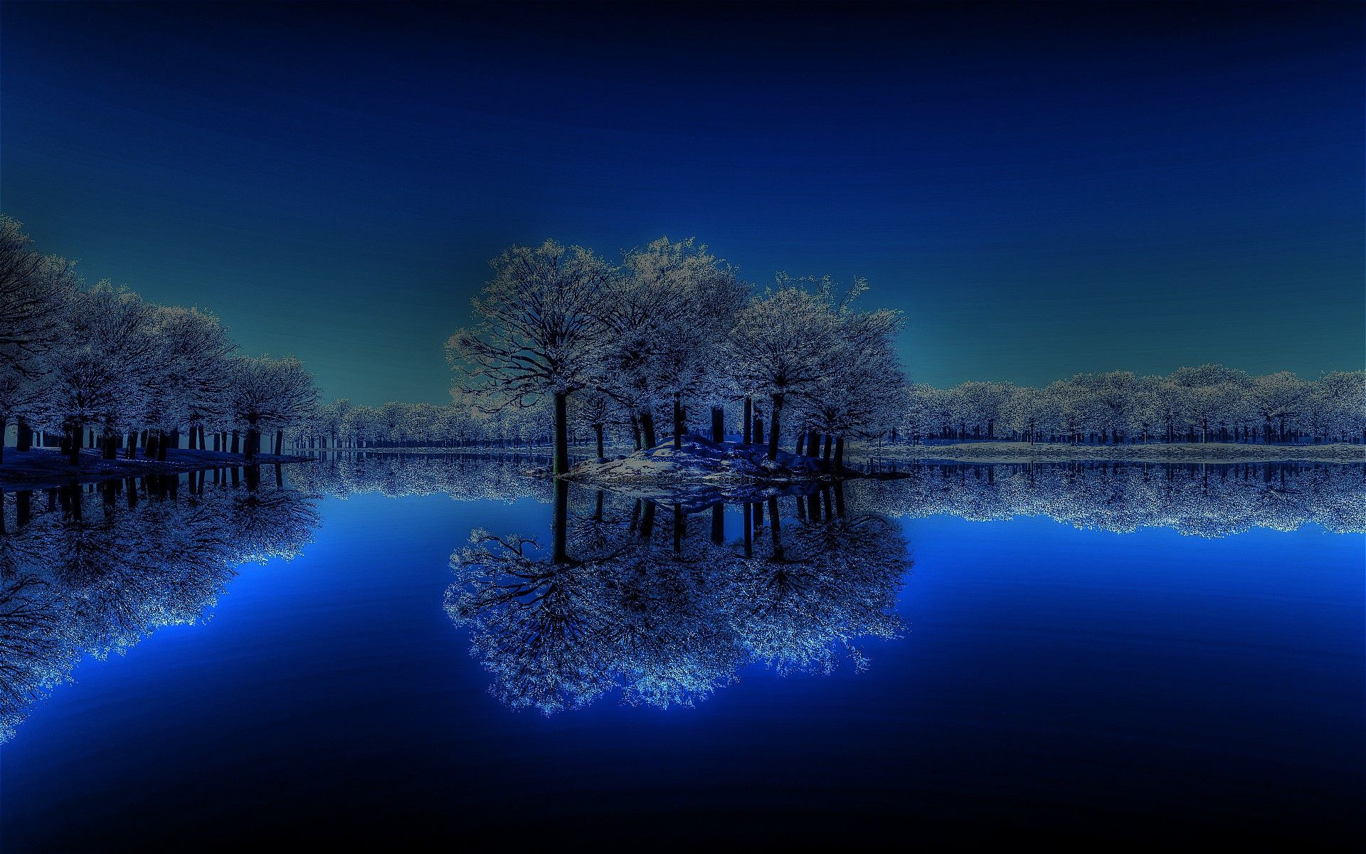 Alberi riflessi lago blu notte, 1920x1200 Full HD+ WUXGA, Laptop