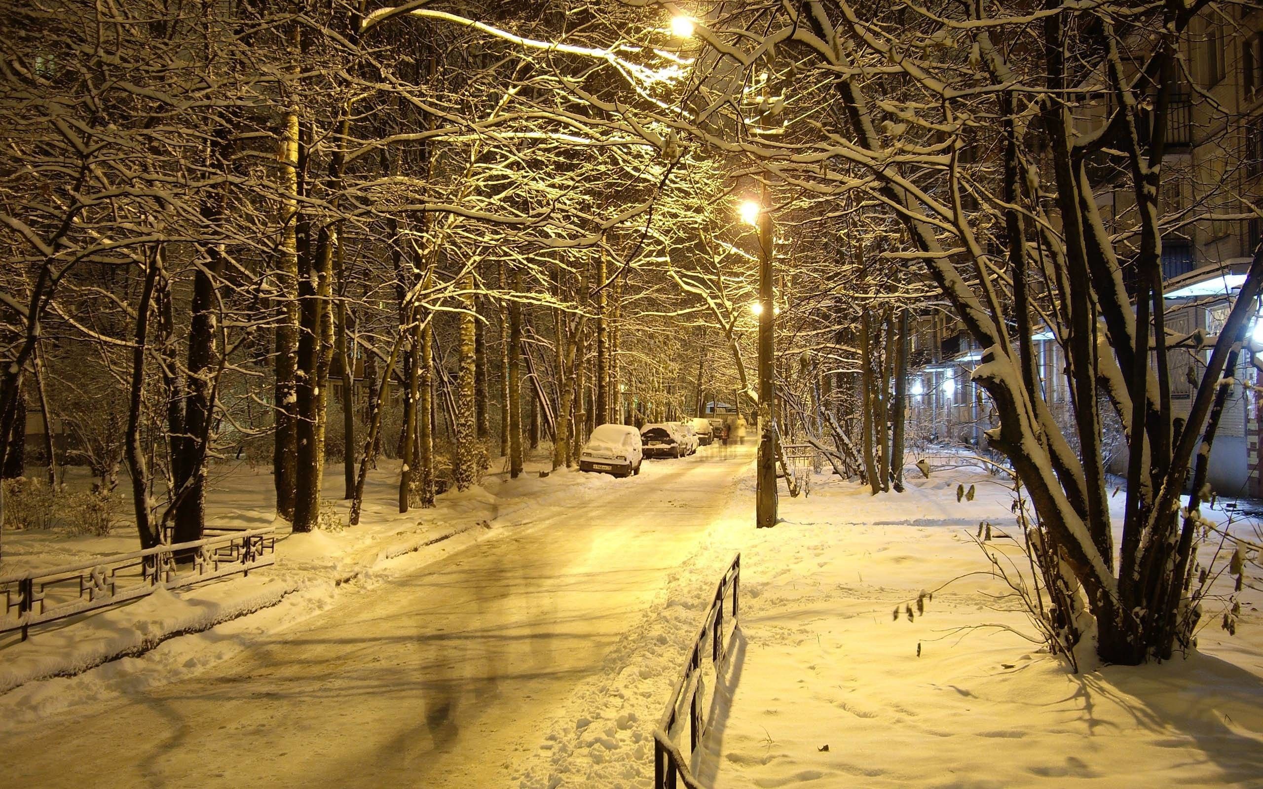 Strada innevata notturna con lampioni, 2560x1600 WQXGA, Desktop