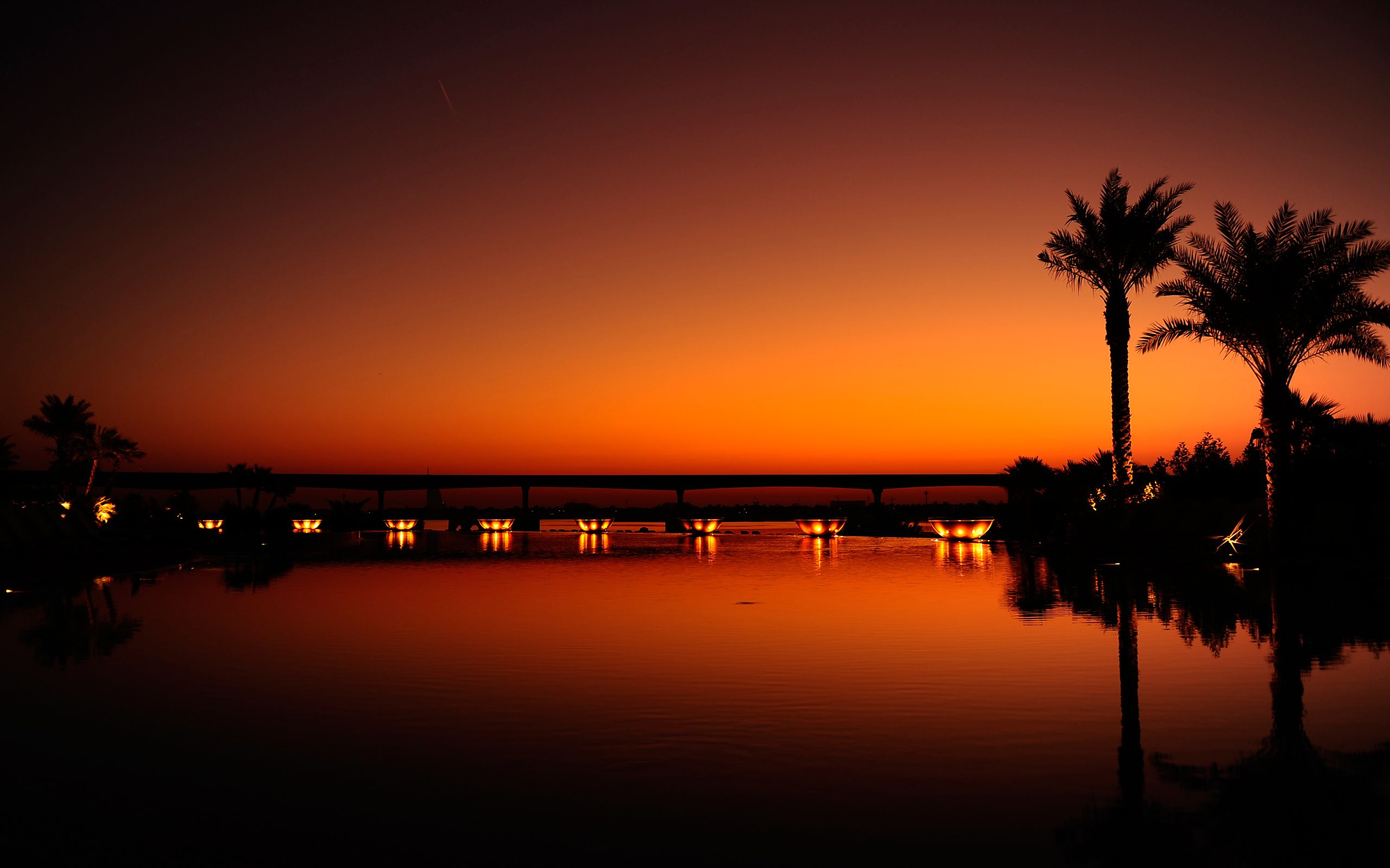 Tramonto arancione con palme silhouette, 2560x1600 WQXGA, Desktop