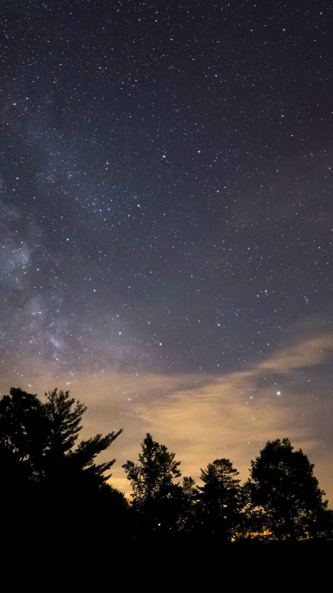 cielo stellato con alberi, 1080x1920 Verticale, Telefono