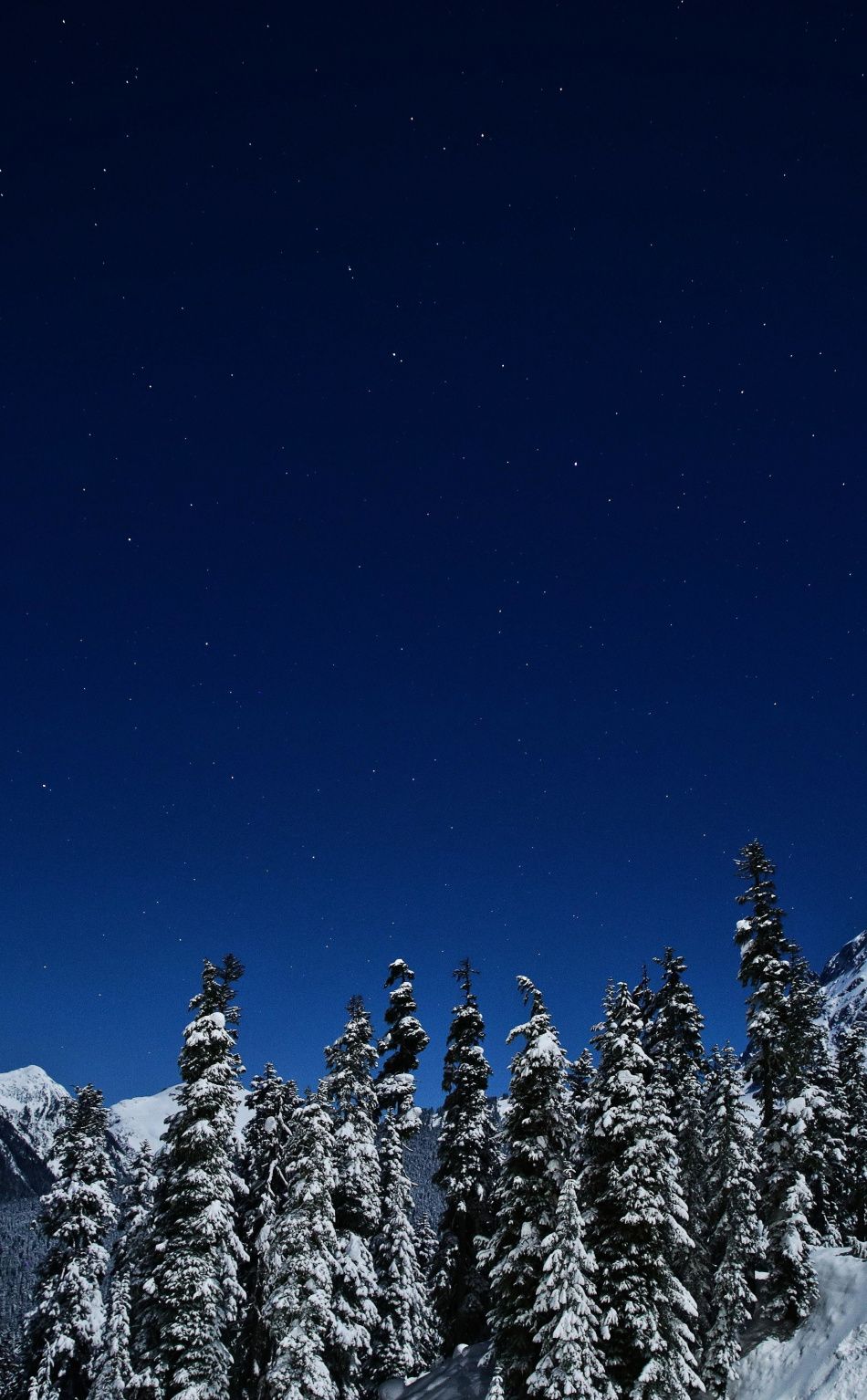 Cielo notturno con pini innevati, 950x1534 Full HD Verticale, iPhone