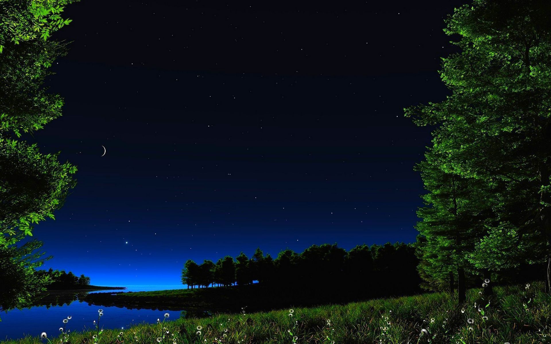 Notte stellata lago alberi, 1920x1200 WUXGA, Laptop