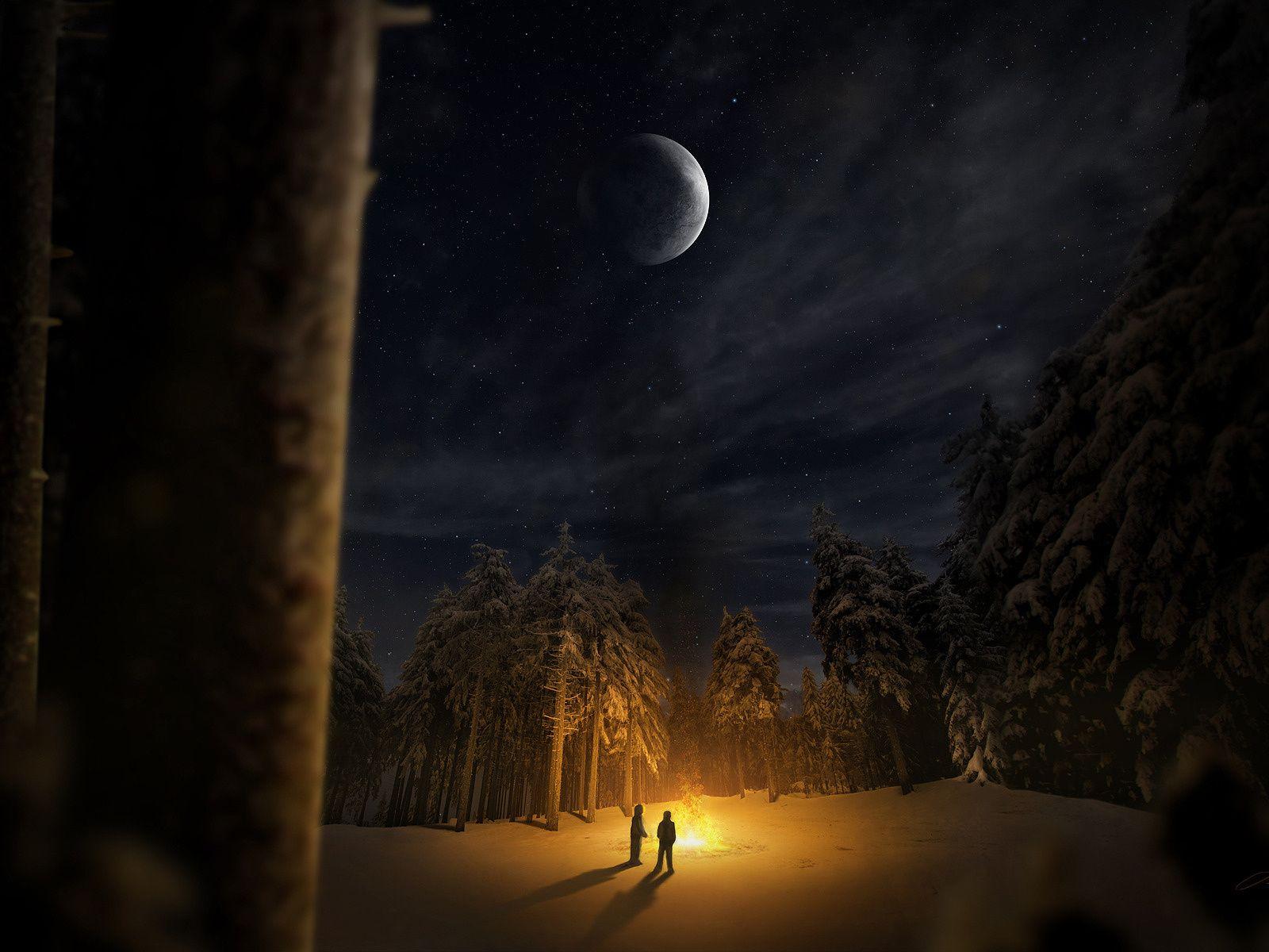 Foresta notturna innevata con luna, 1600x1200 900p, Desktop