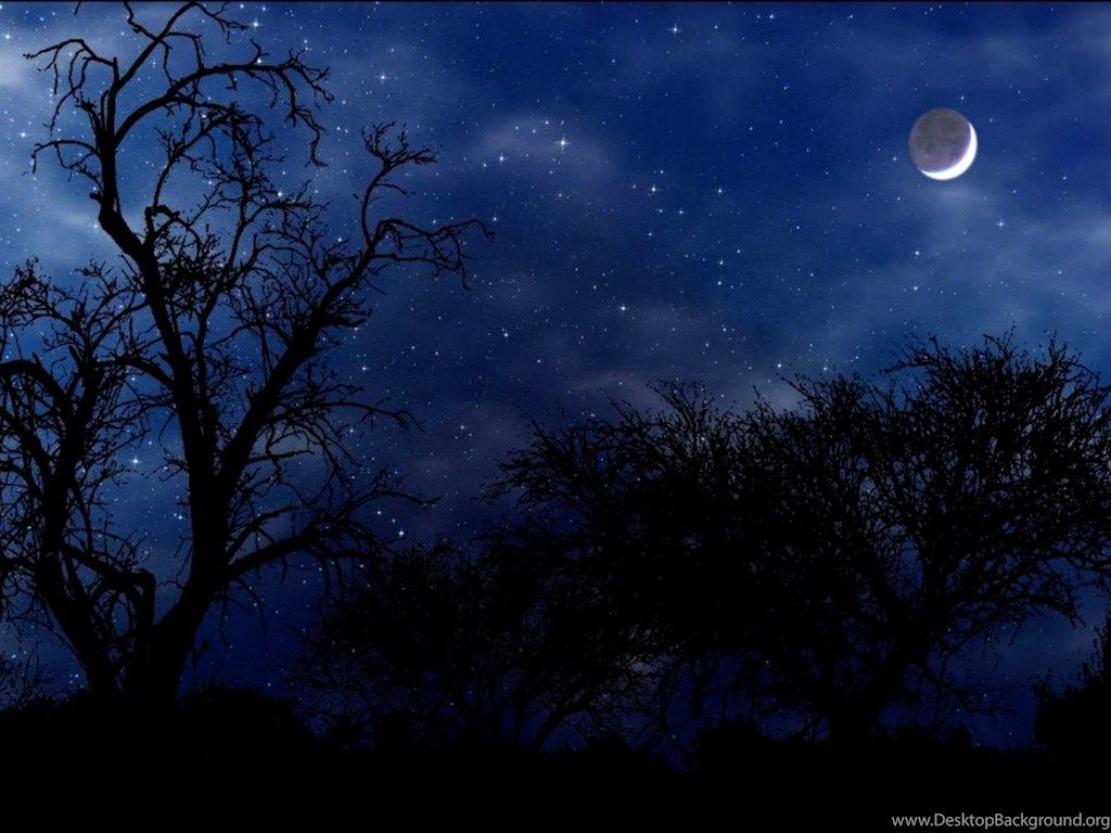 Alberi silhouette cielo notturno luna, 1024x768 HD, Desktop
