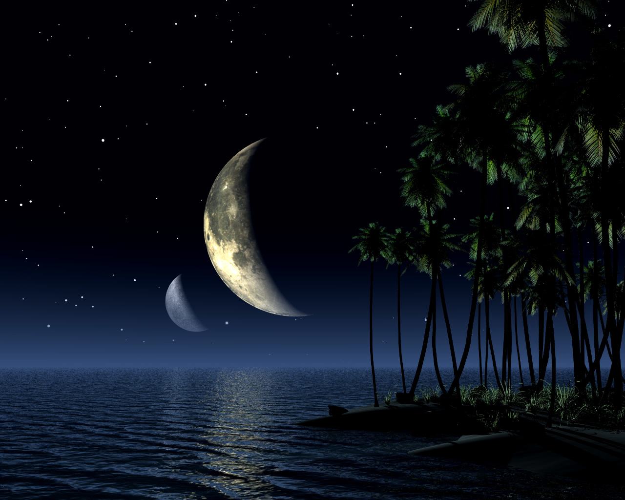 Luna crescente su mare notturno con palme, 1280x1024 HD, ROG Asus Laptop