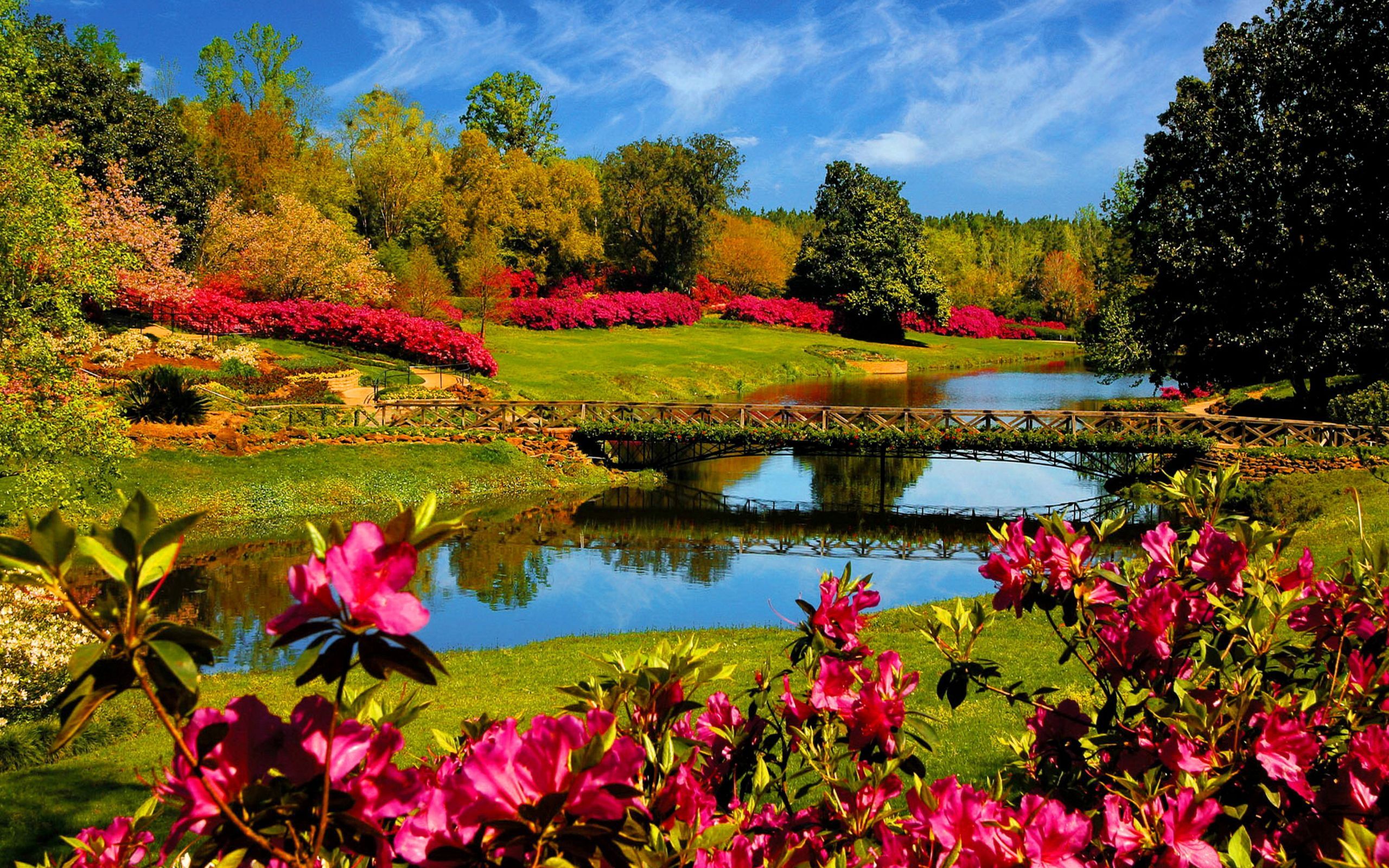 Giardino primaverile con laghetto e ponte, 2560x1600 2K+, Desktop