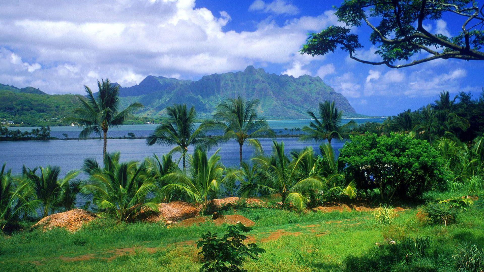 Baia tropicale con palme e montagne, 1920x1080 1080p, PC Desktop