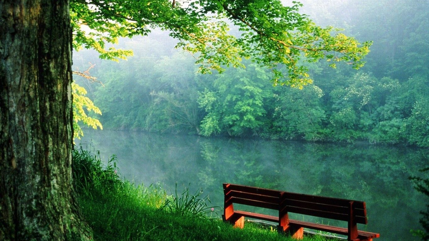 Panchina vicino al fiume, 1366x768 720p, Laptop