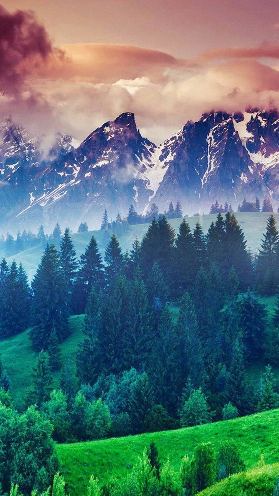 Montagne innevate con foresta verde, 1080x1920 Full HD Verticale, Smartphone