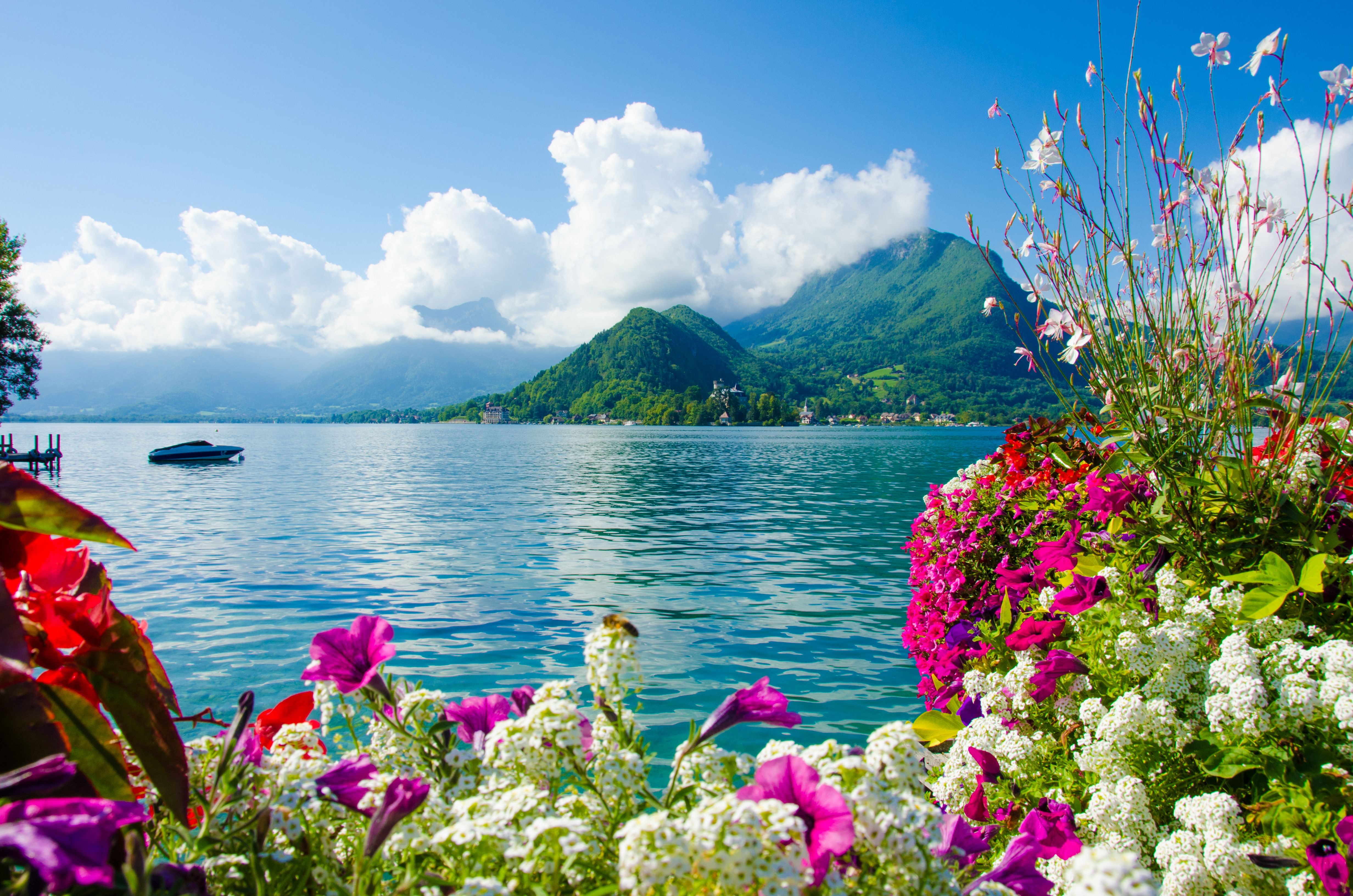 Lago turchese con fiori colorati, 4928x3264 Ultra HD, 4K TV