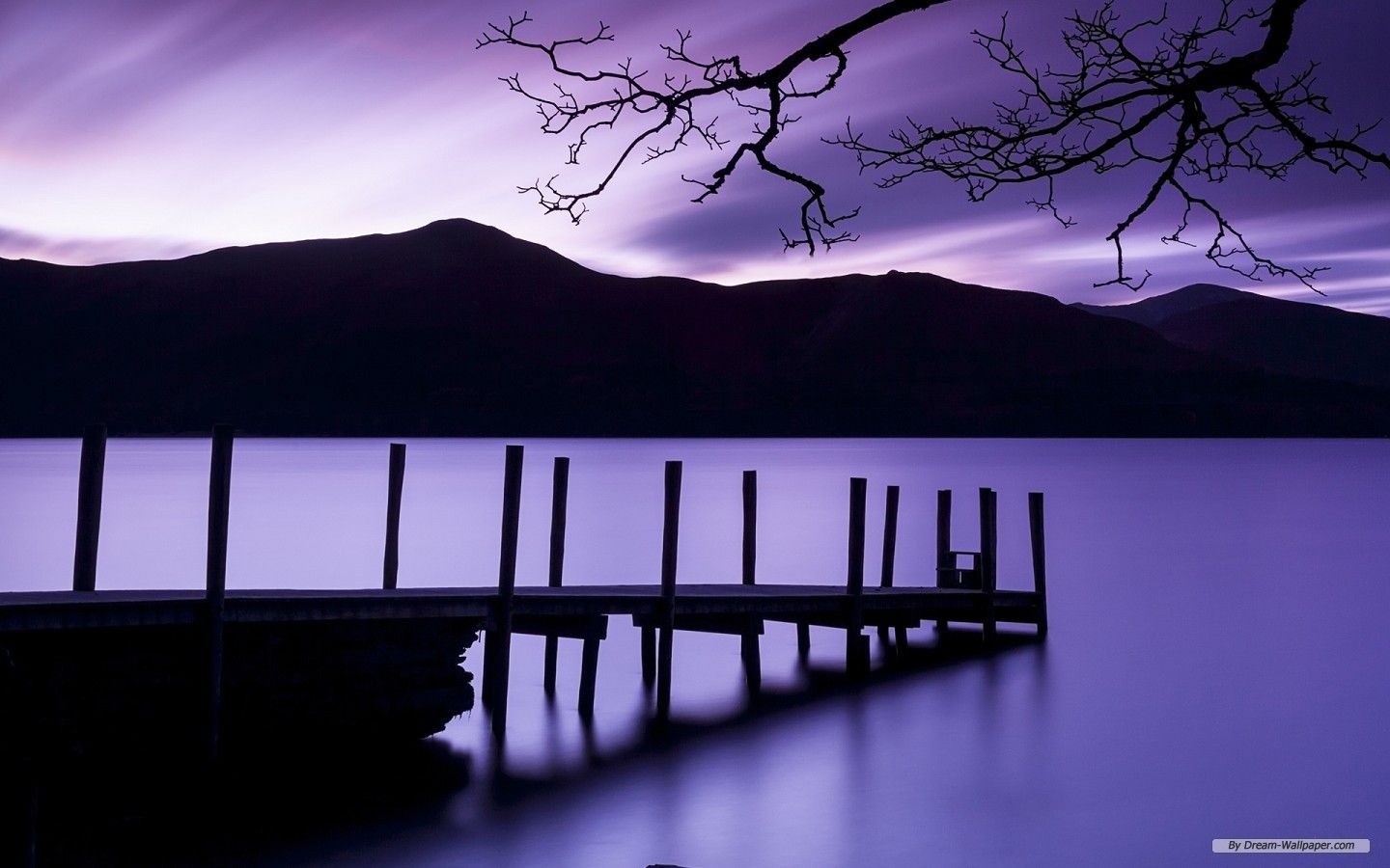 Molo viola su lago, 1440x900 HD, Desktop