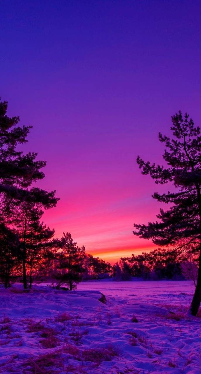 Tramonto viola su neve, 688x1280 Full HD Verticale, Realme