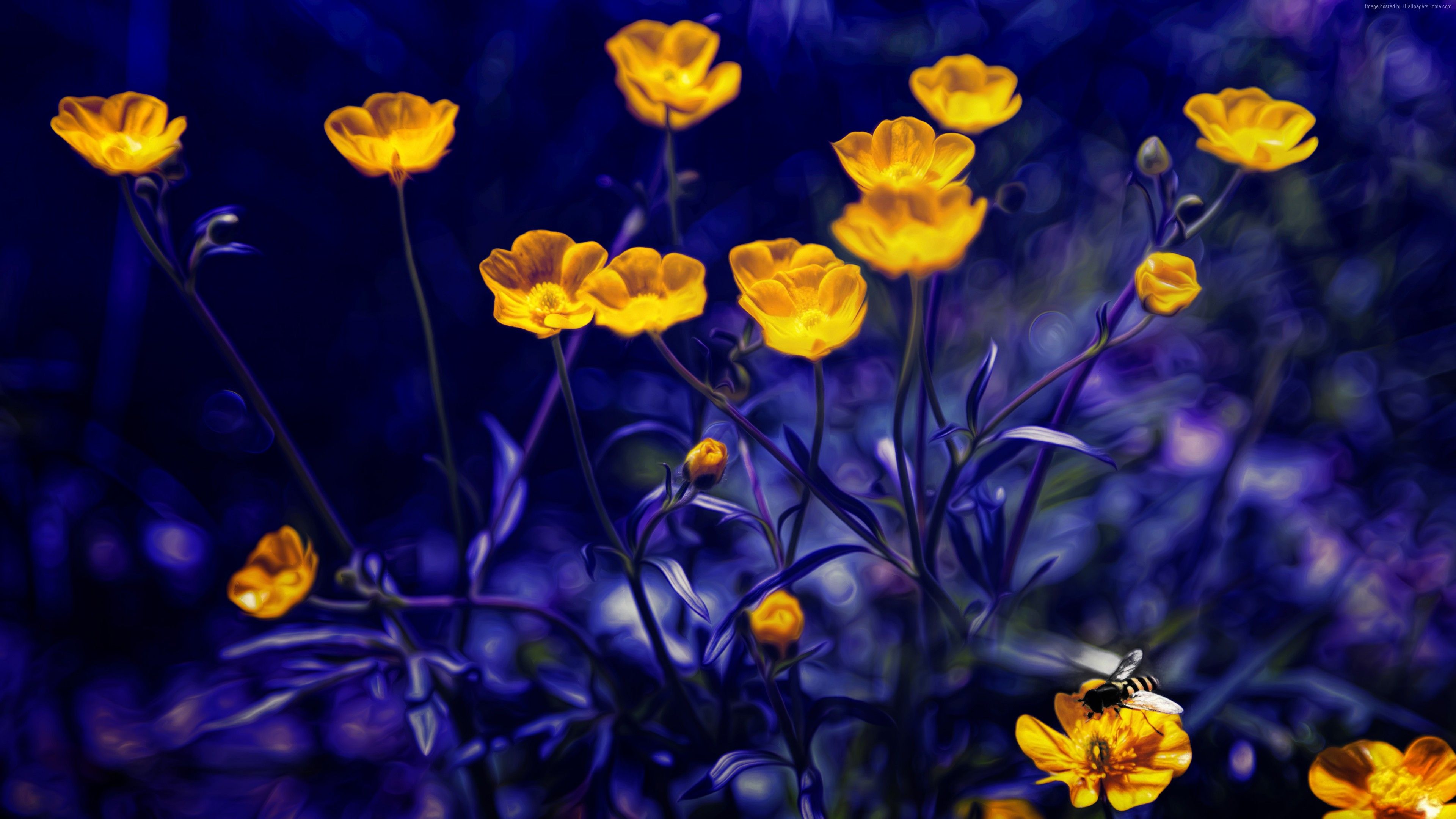 Foresta con fiori viola, 1600x900 HD, PC