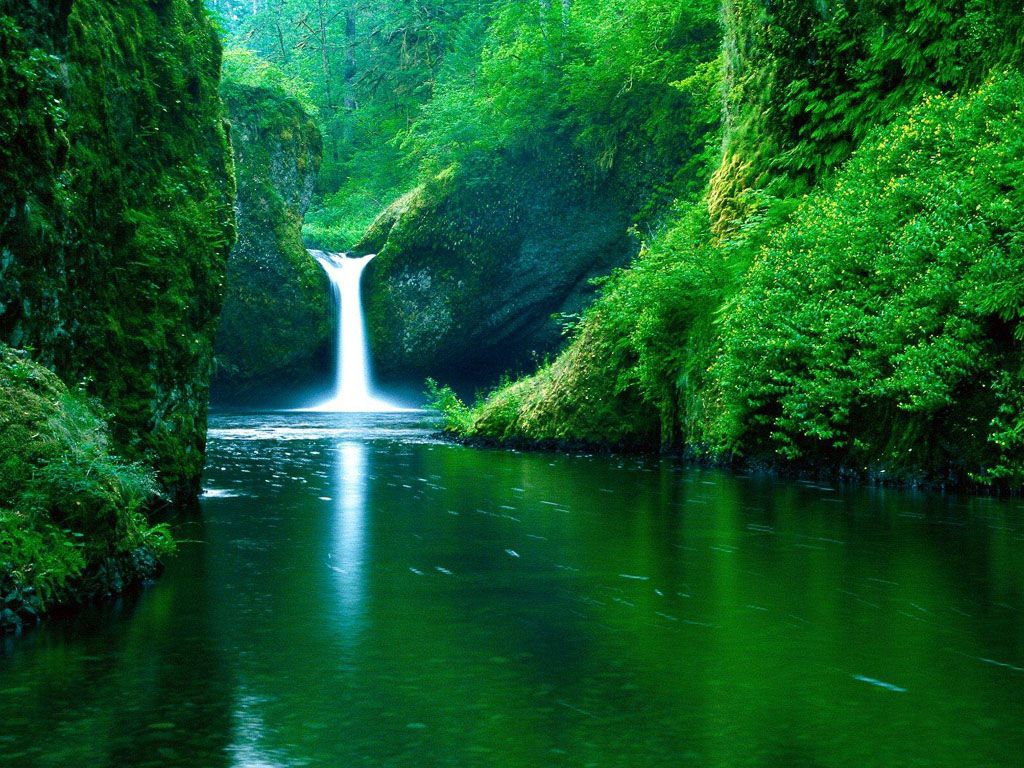 Cascata verde in canyon, 1024x768 HD, Desktop