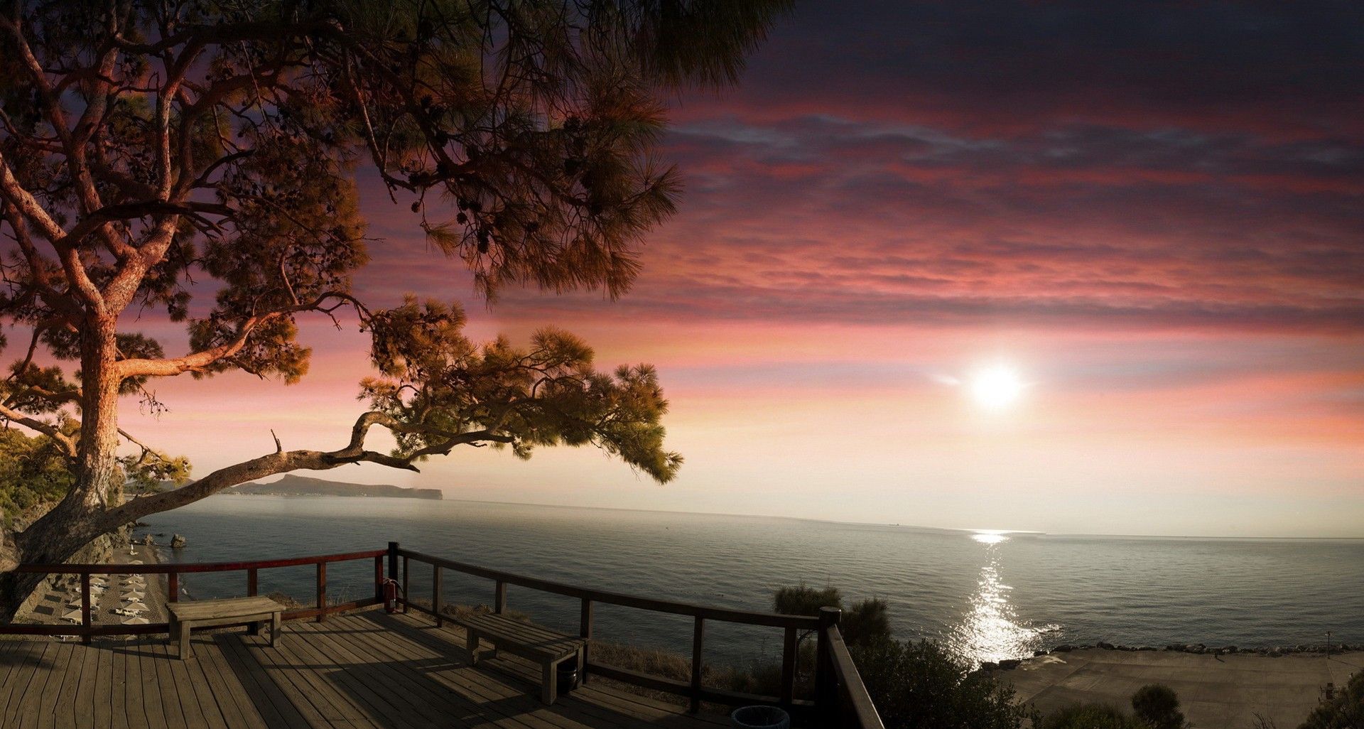 Tramonto sul mare con albero, 1920x1026 Full HD, Desktop