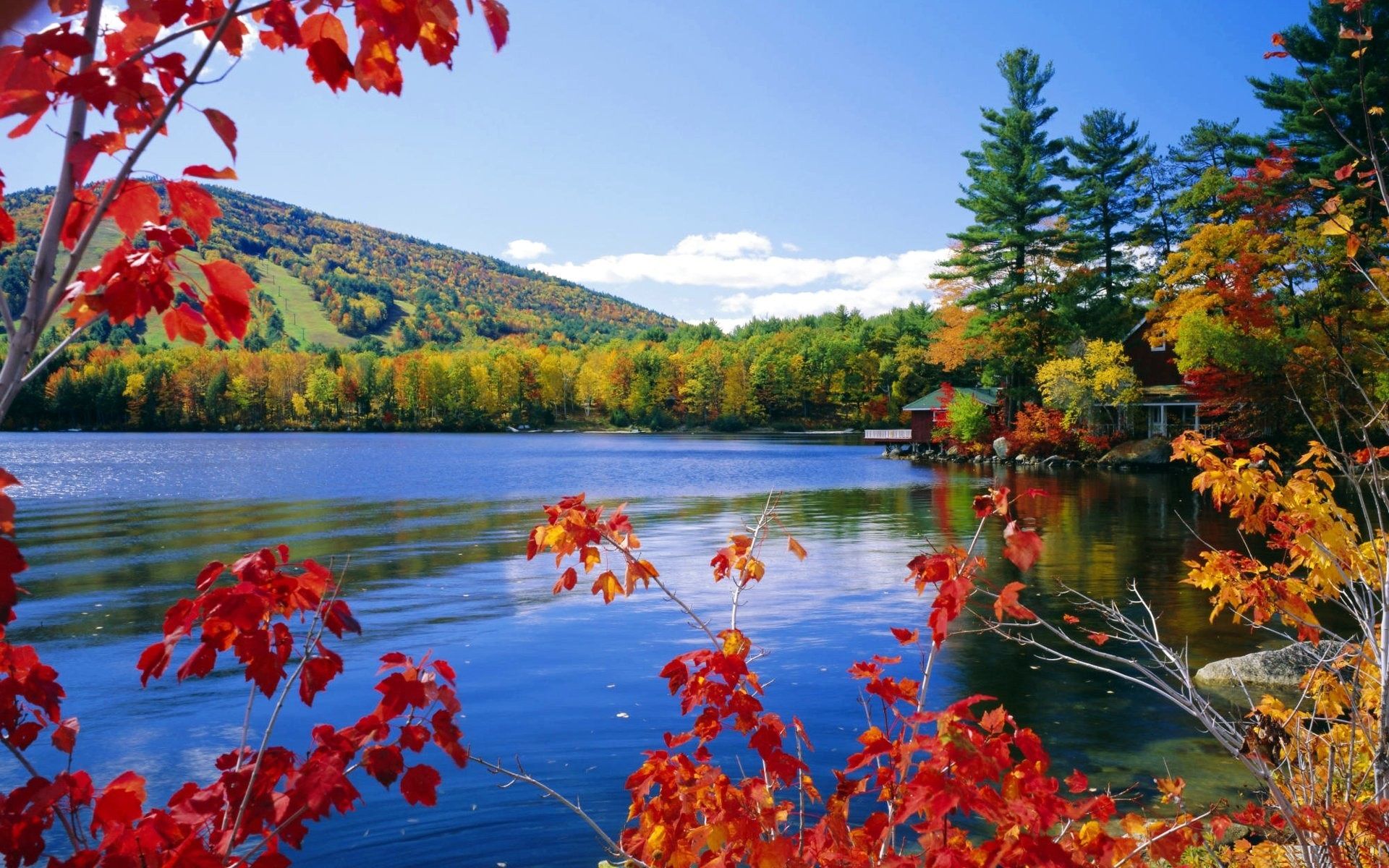 Arcobaleno su fiume e foresta, 1920x1200 WUXGA, Monitor Gaming