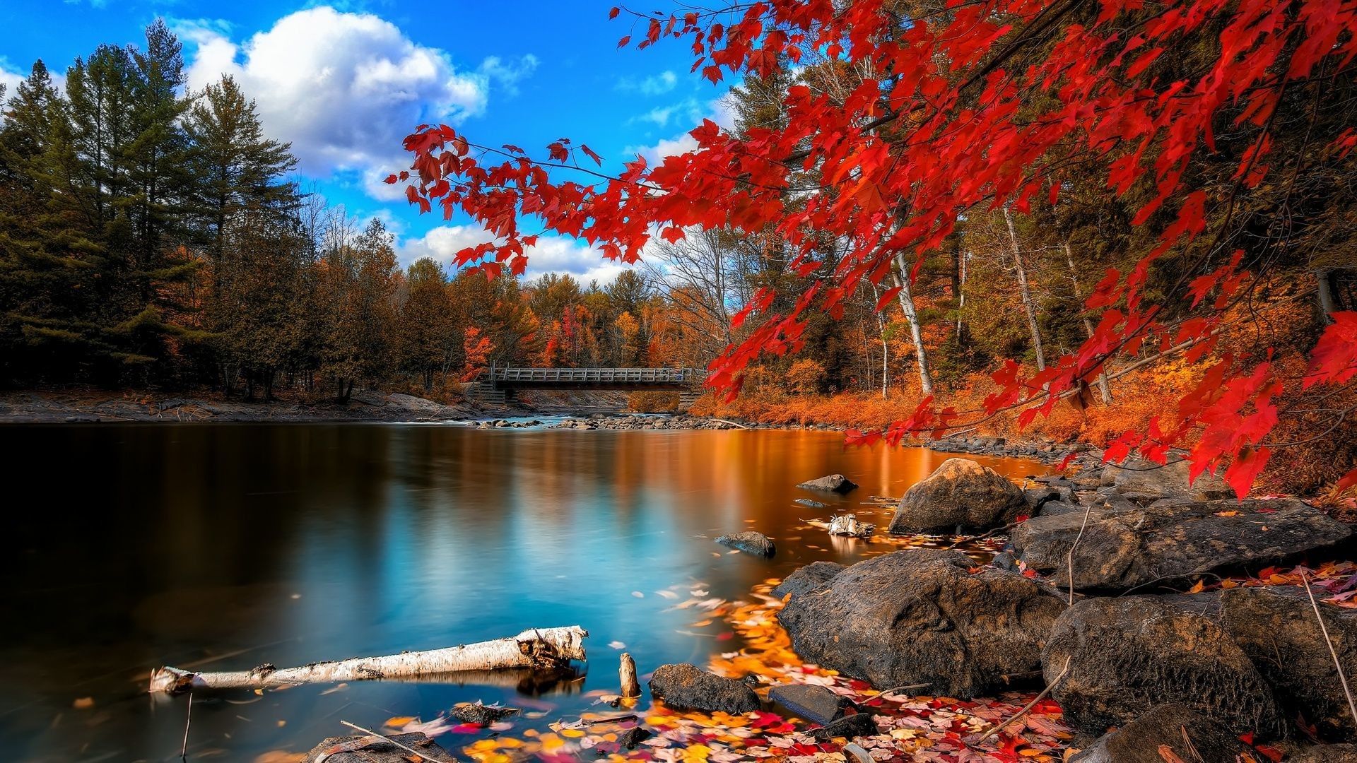 Lago autunnale con foglie rosse, 1920x1080 1080p, Desktop