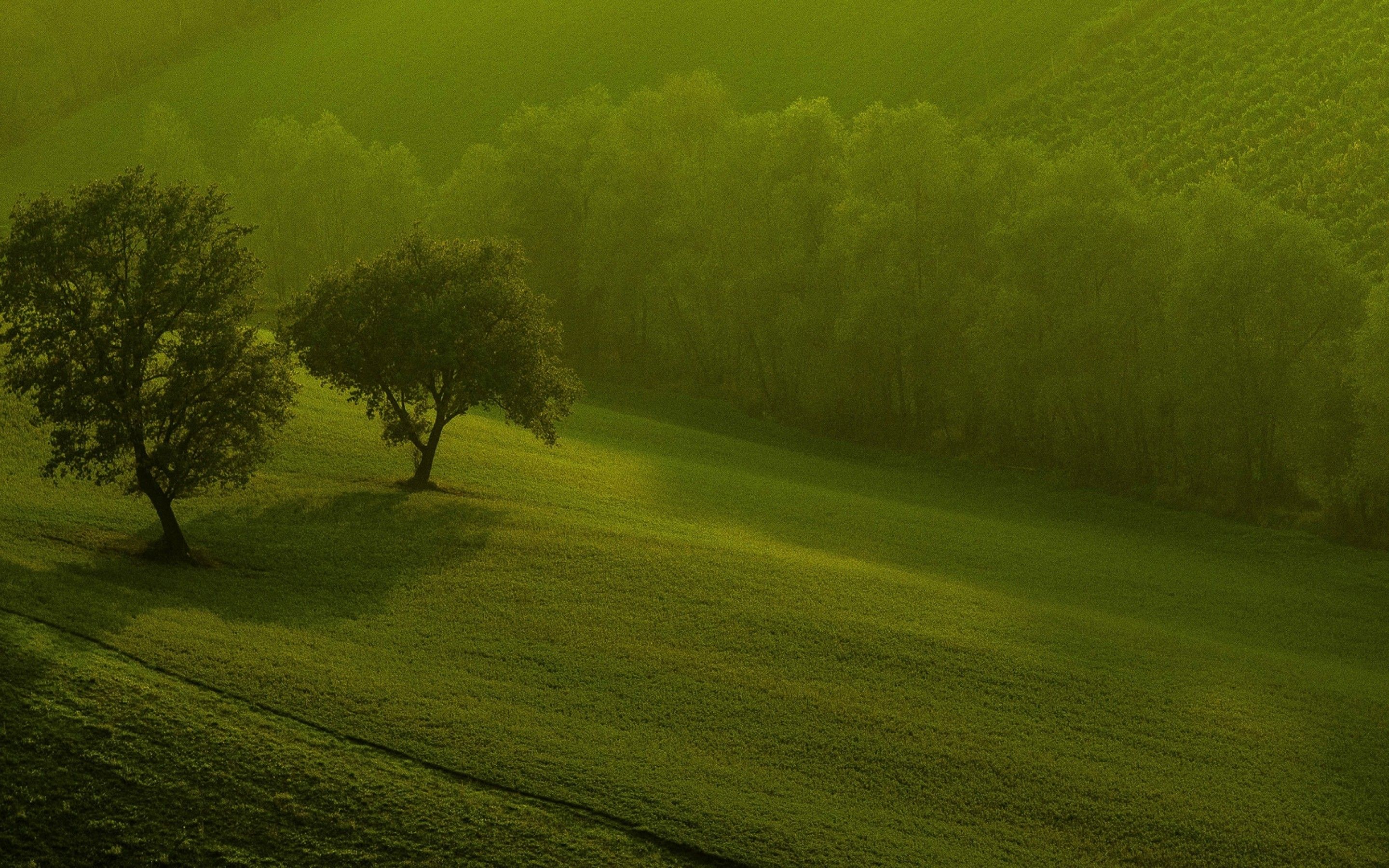 Valle verde con risaie, 1920x1080 Full HD, PC