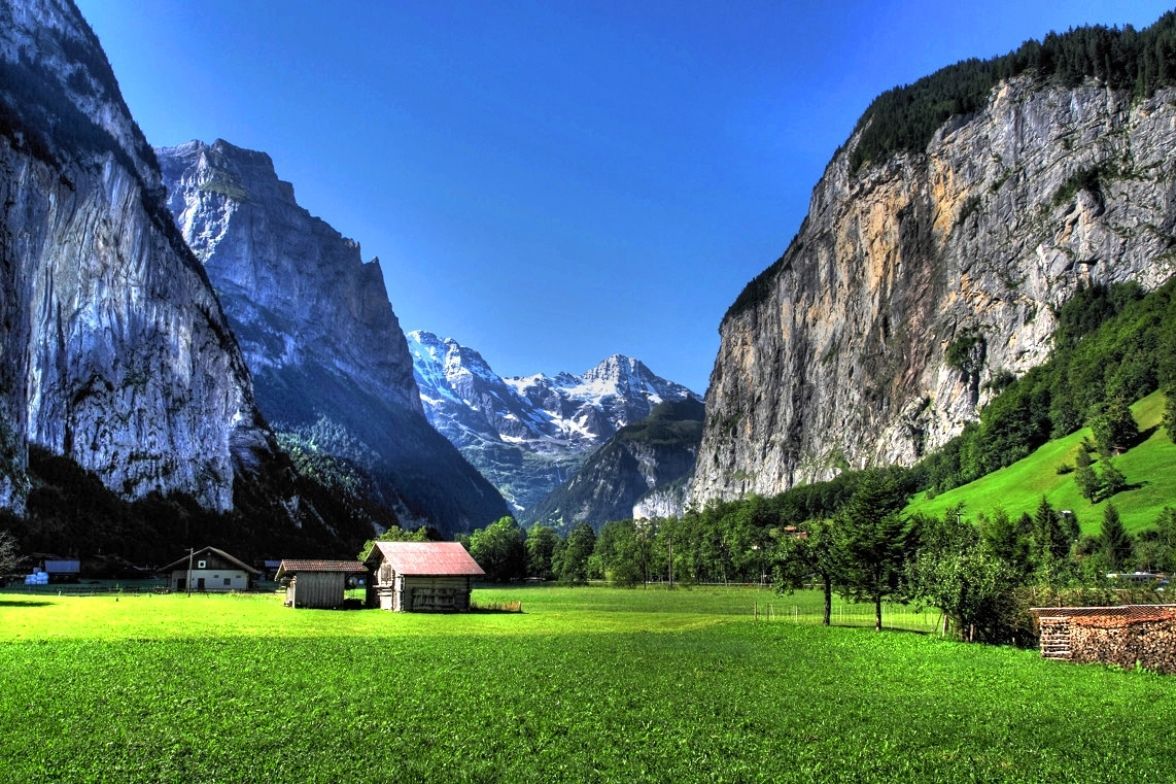 Cascata con muschio e fiori, 1920x1200 Full HD+, Monitor Gaming