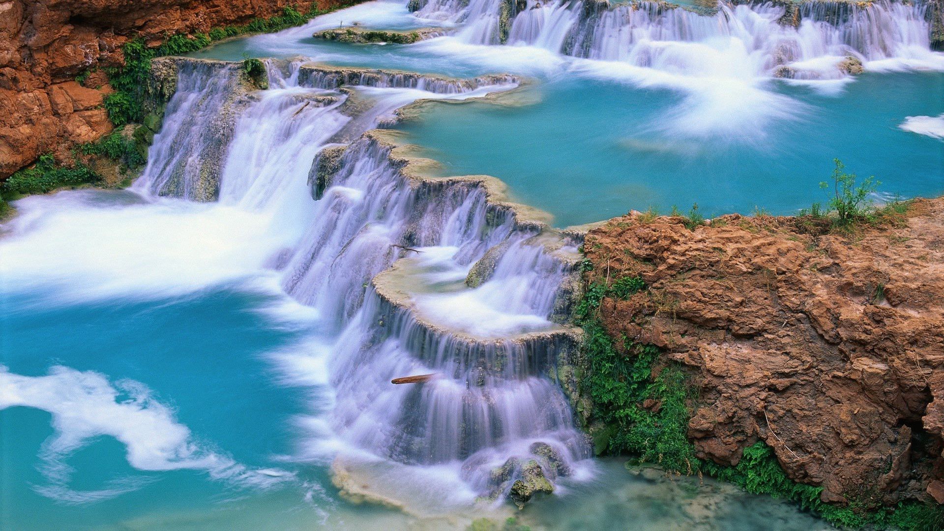 Costa rocciosa con fiori rosa, 1920x1200 WUXGA, PC Desktop
