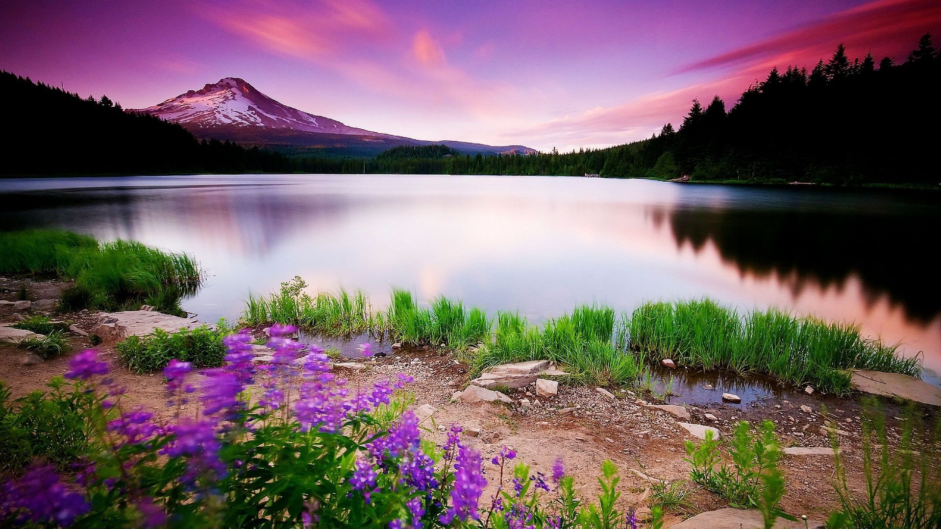 Alba viola su lago montano, 1920x1080 Full HD 1080p, PC