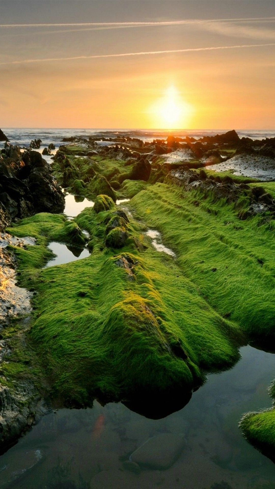 Rocce coperte di muschio al tramonto, 1080x1920 Full HD Verticale, Smartphone