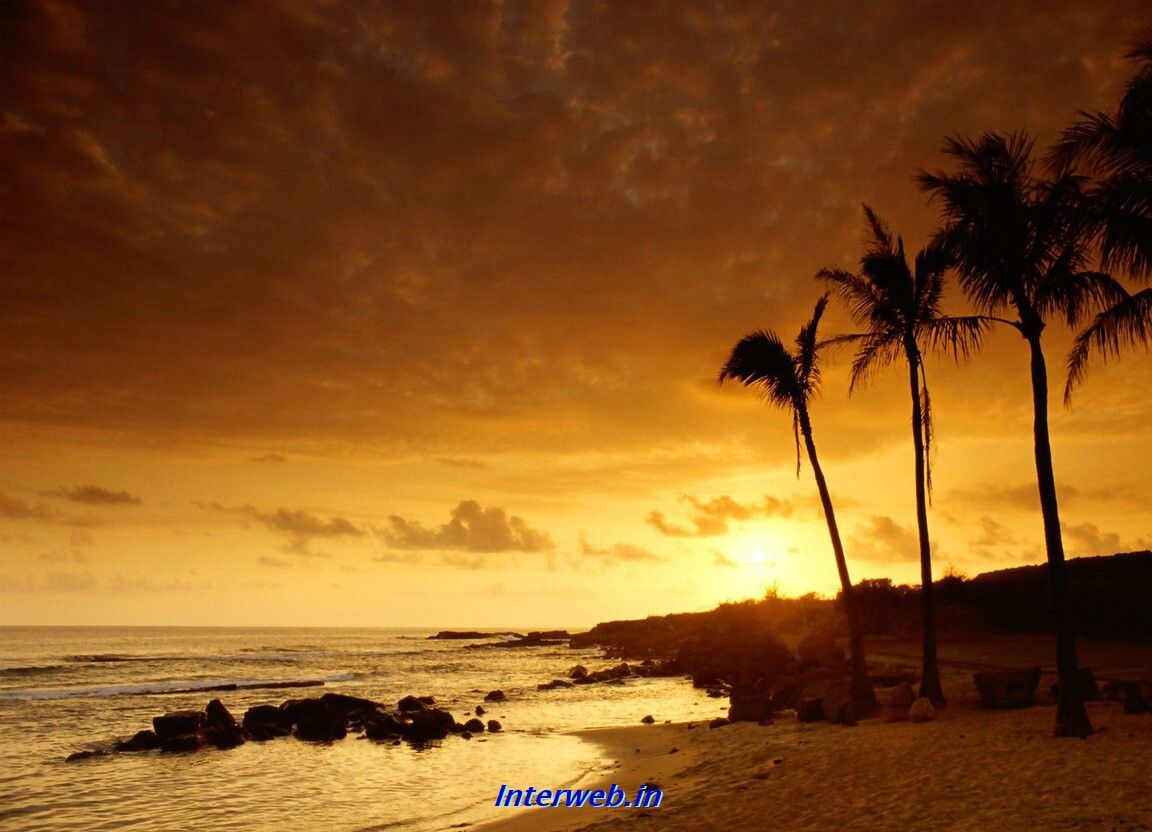 Tramonto spiaggia con palme, 1152x832 HD, PC Desktop