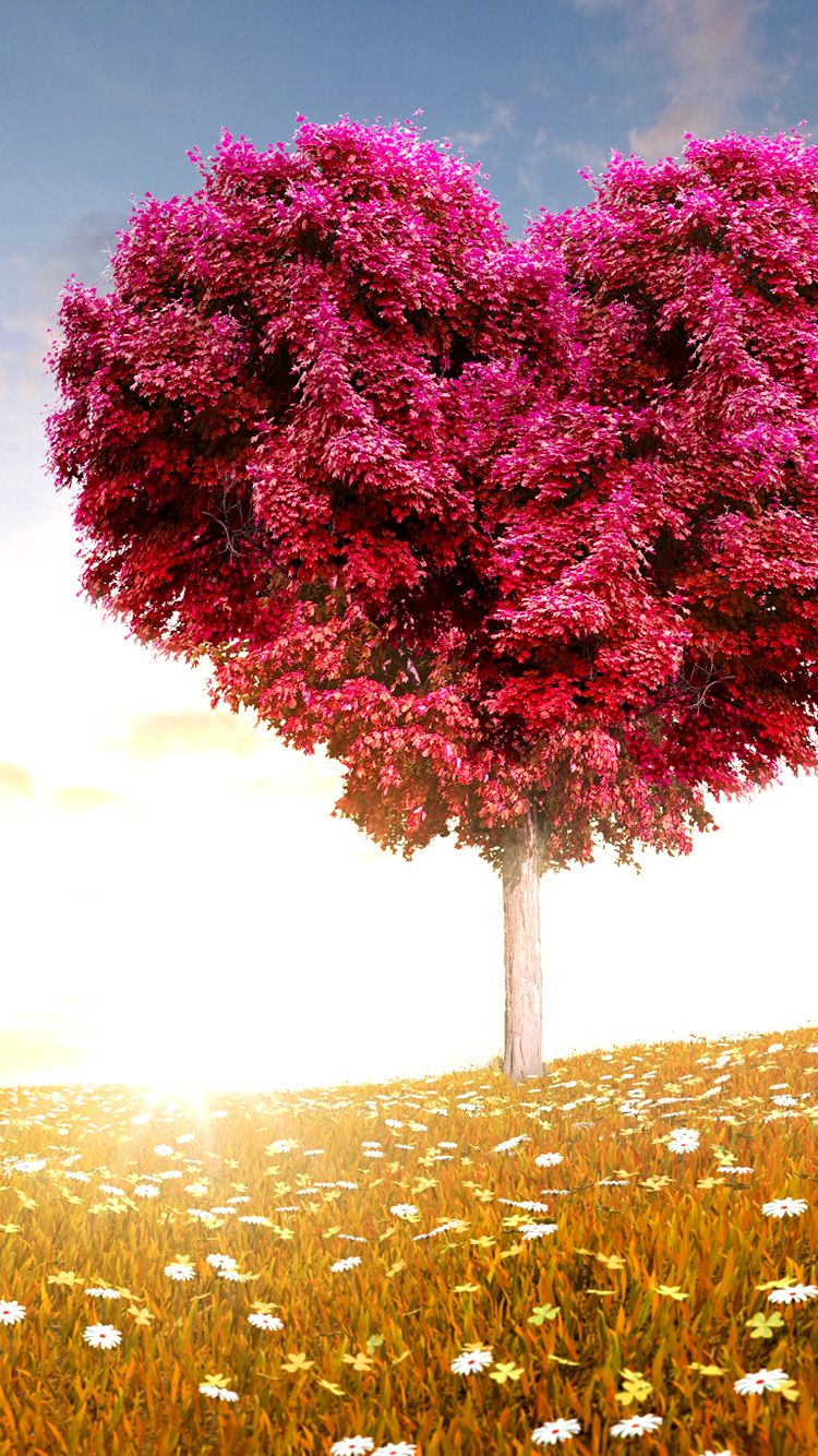 Albero a forma di cuore, 750x1334 Full HD Verticale, iPhone