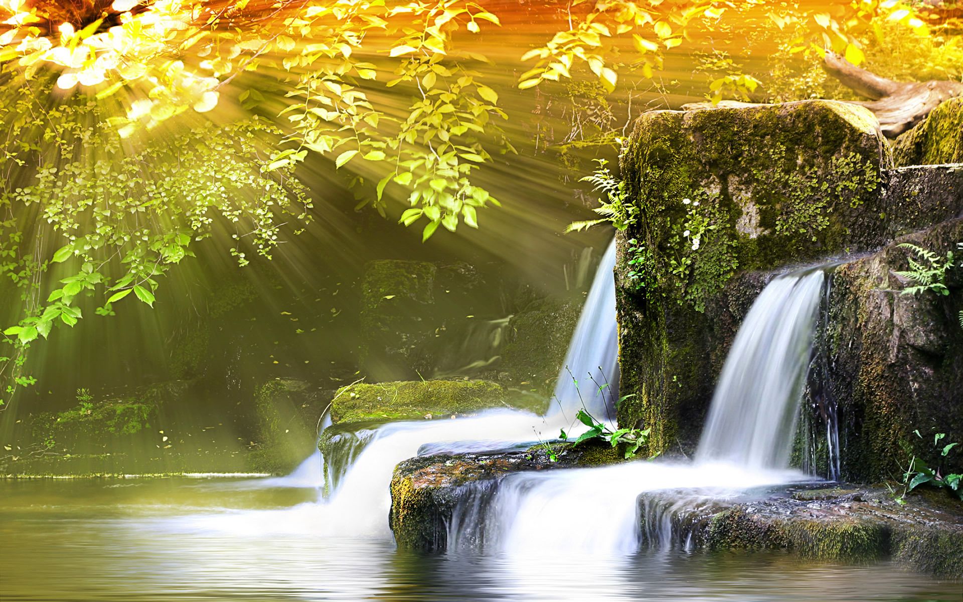 Cascata con luce solare tra foglie, 1920x1200 Full HD+ WUXGA, Desktop