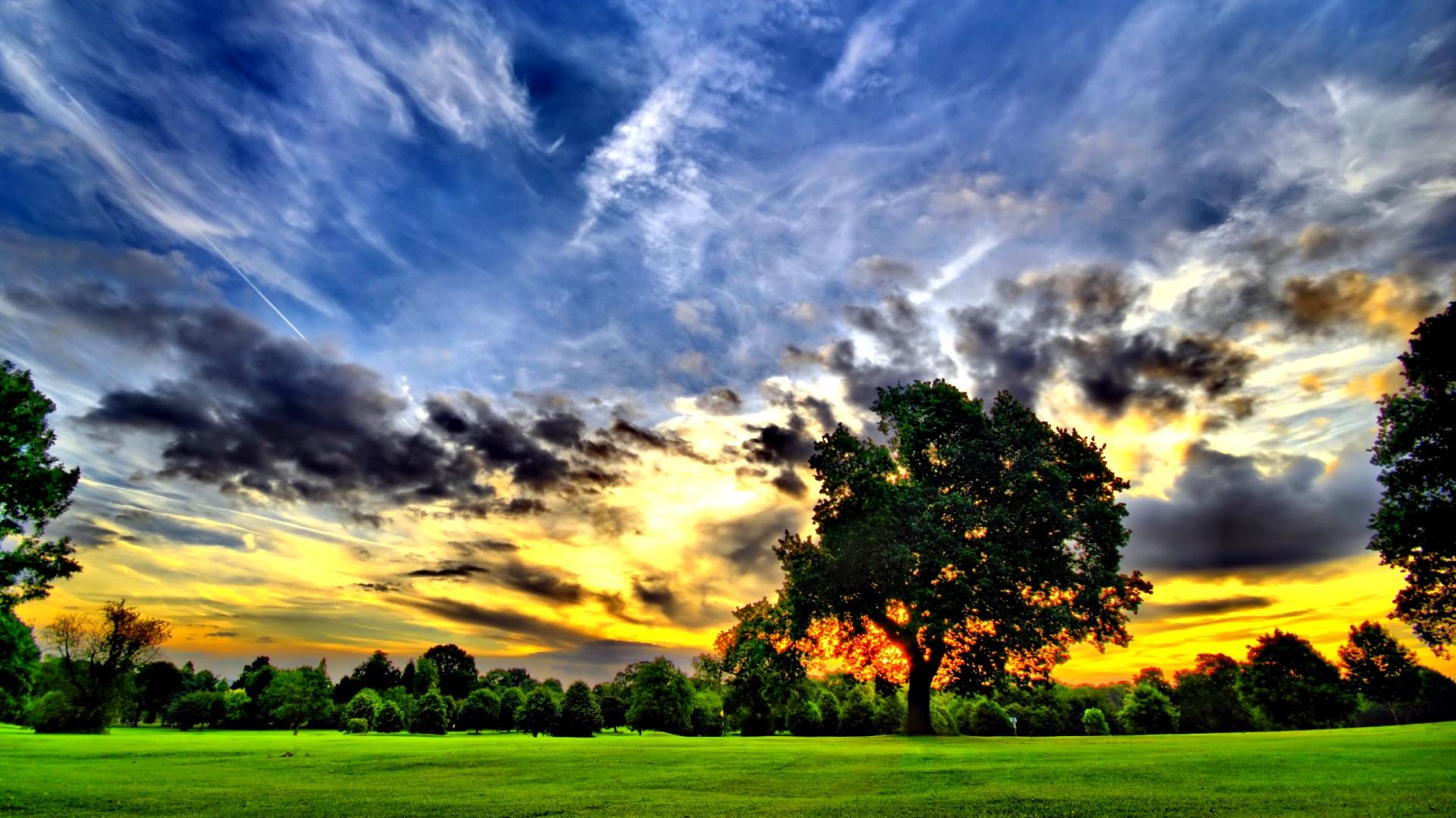 Tramonto con alberi e prato, 1920x1080 Full HD 1080p, Desktop