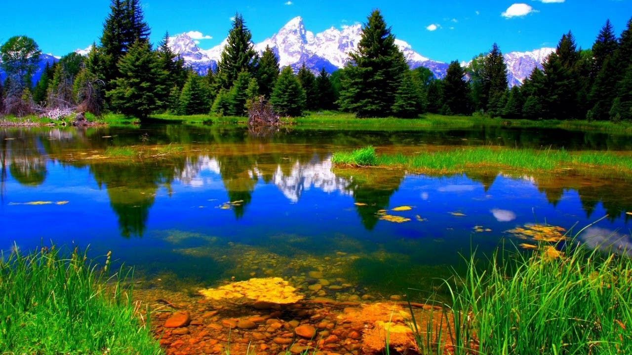 Bellezza, 1280x720 720p, PC