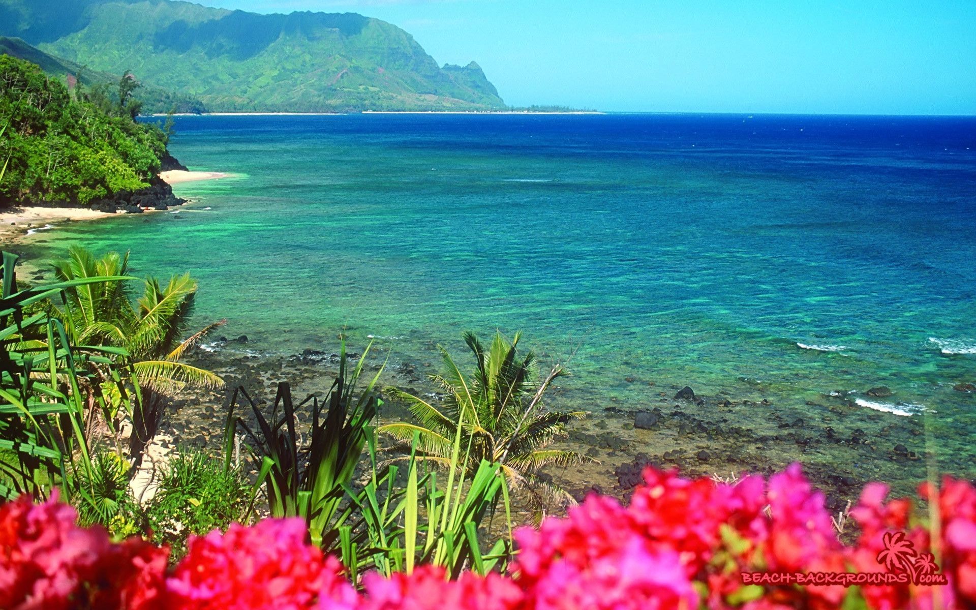 Costa tropicale con fiori rosa, 1920x1200 WUXGA, iMac