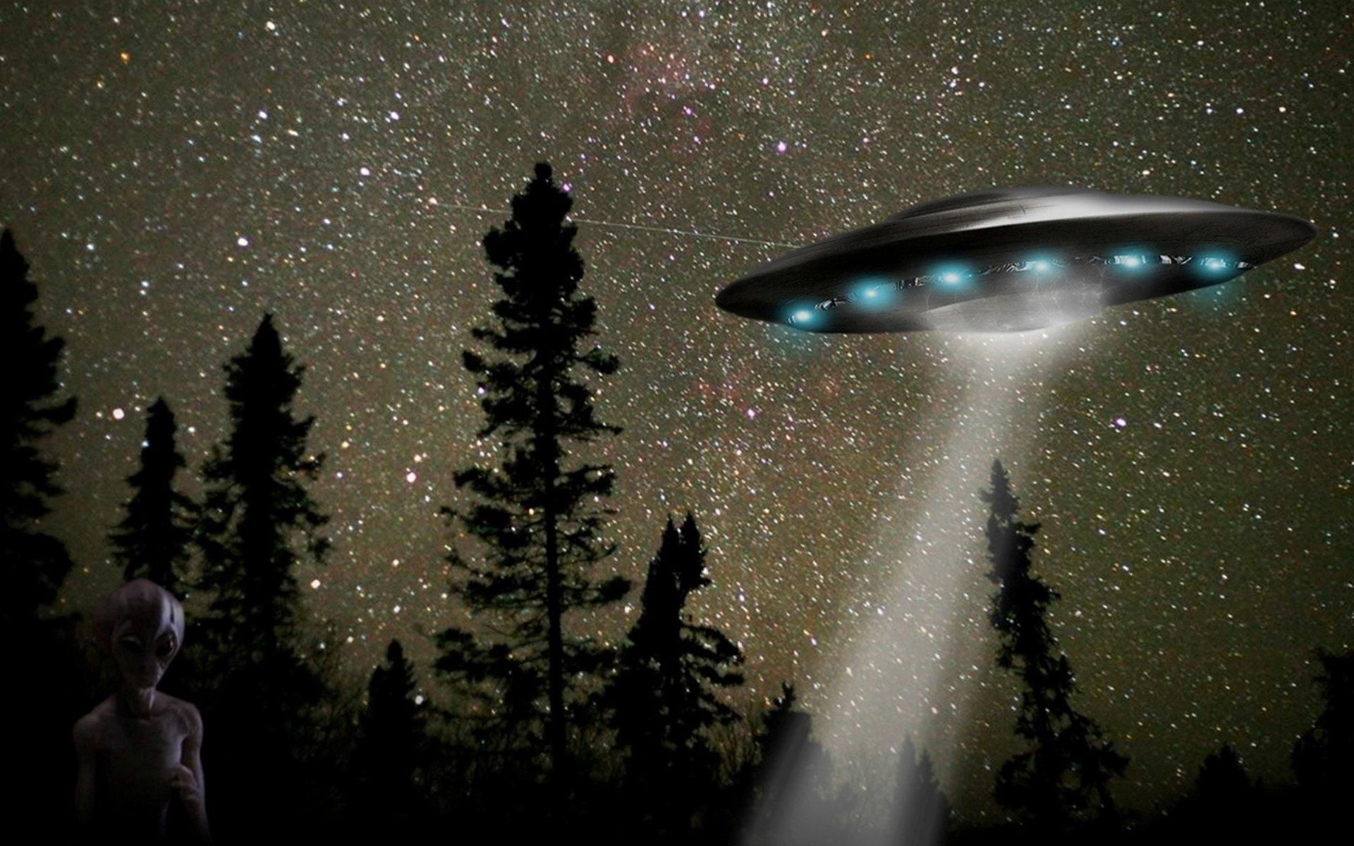 UFO alieno sopra foresta notturna, 1920x1200 Full HD+ WUXGA, PC Desktop