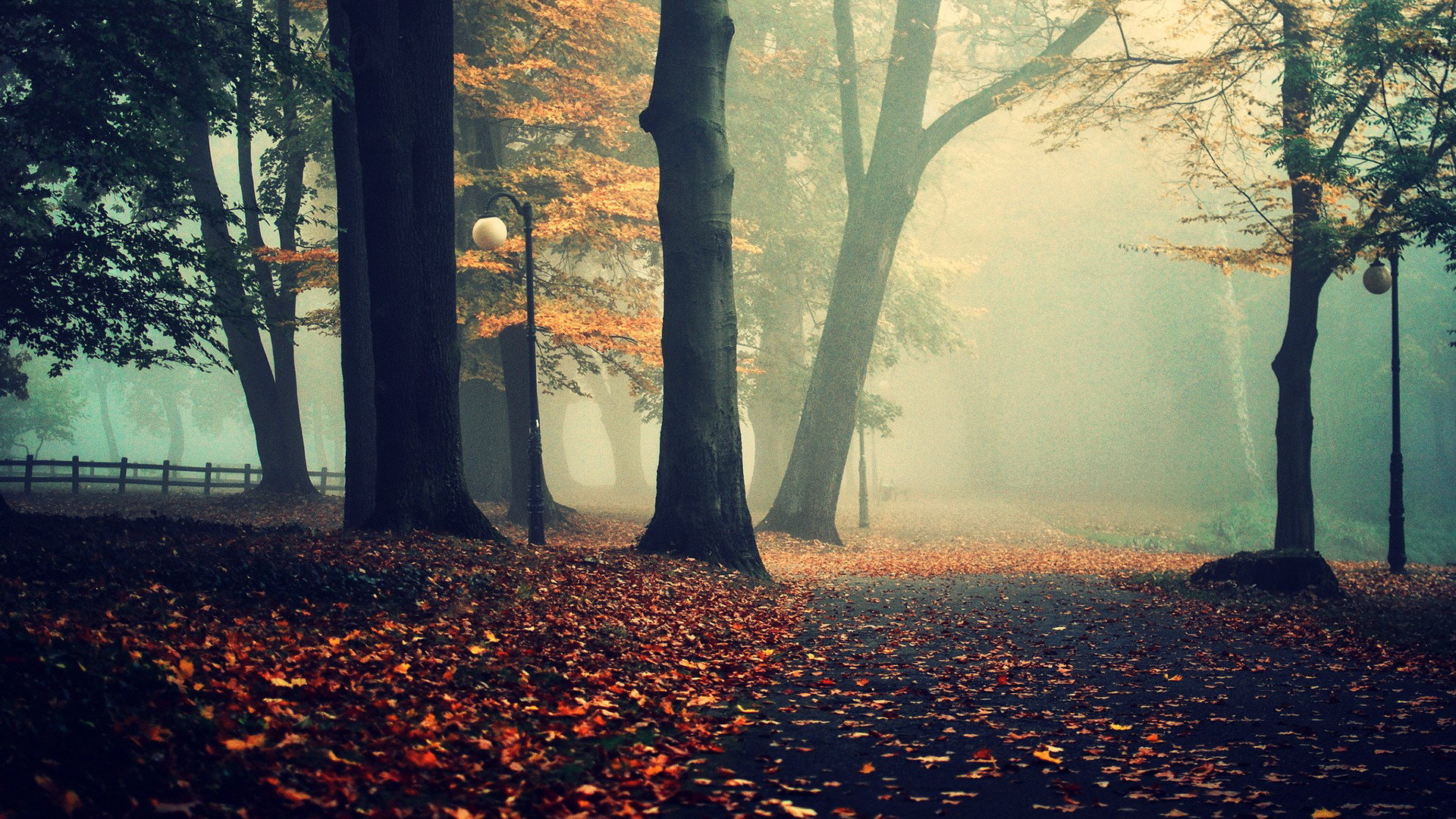 parco autunnale nella nebbia, 1920x1080 Full HD 1080p, PC Desktop