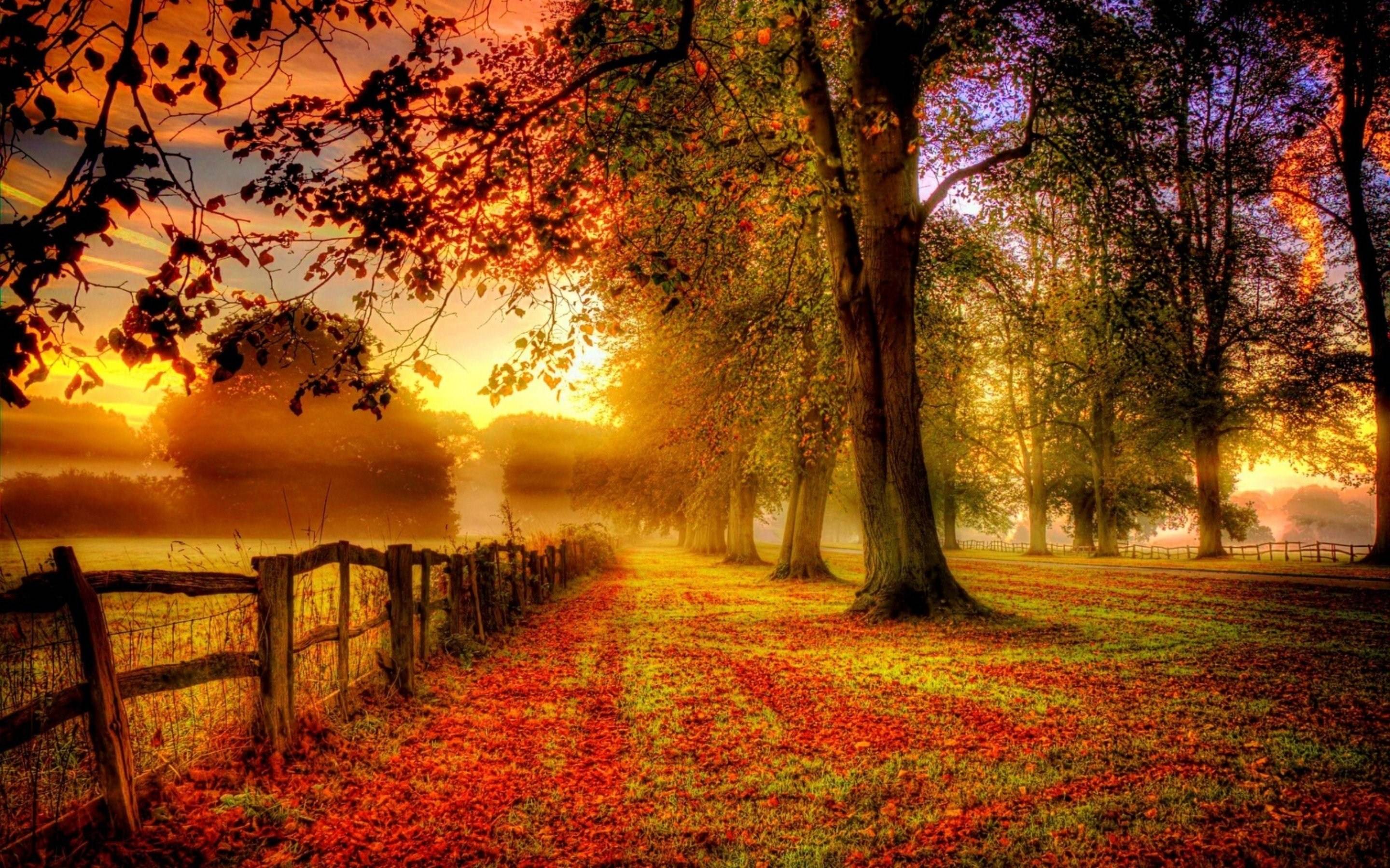 Paesaggio autunnale con nebbia, 2880x1800 2K+, Desktop