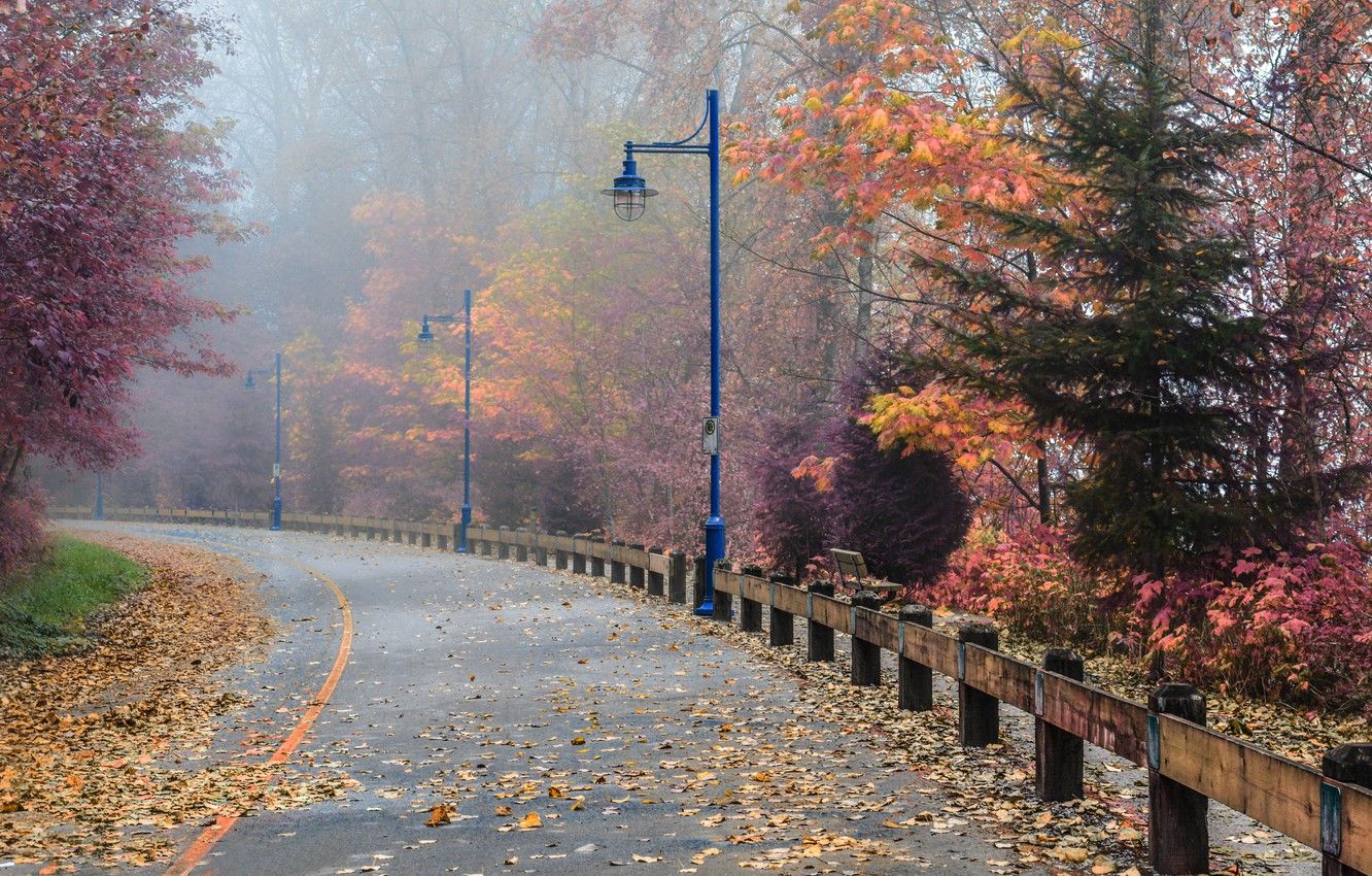 Strada nebbiosa autunnale con lampioni, 1332x850 HD, Desktop