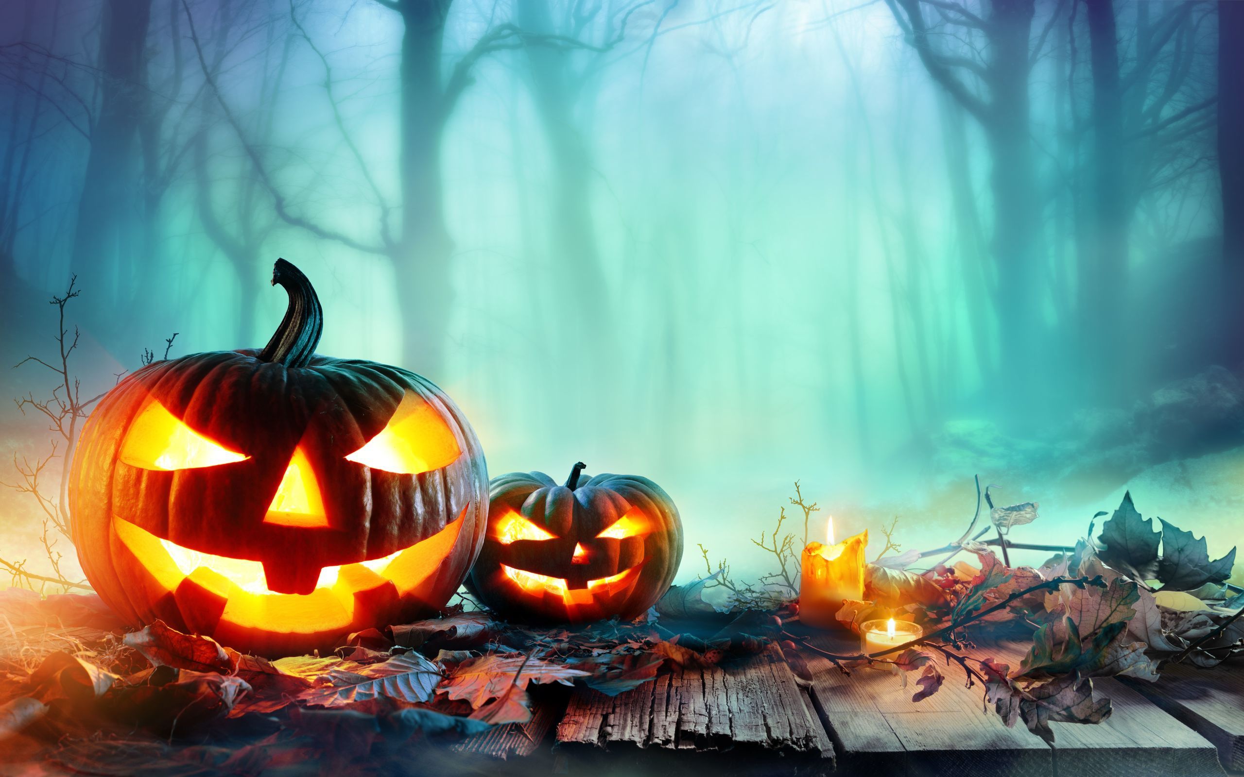 Zucche Halloween nella nebbia, 2560x1600 2K+, Laptop