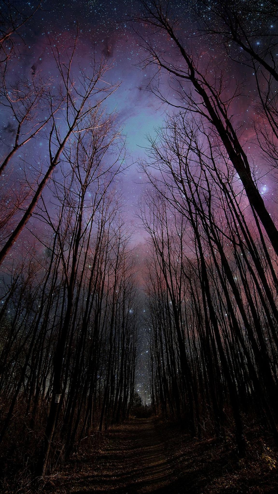 Foresta notturna con cielo stellato, 1152x2048 Full HD Verticale, Realme