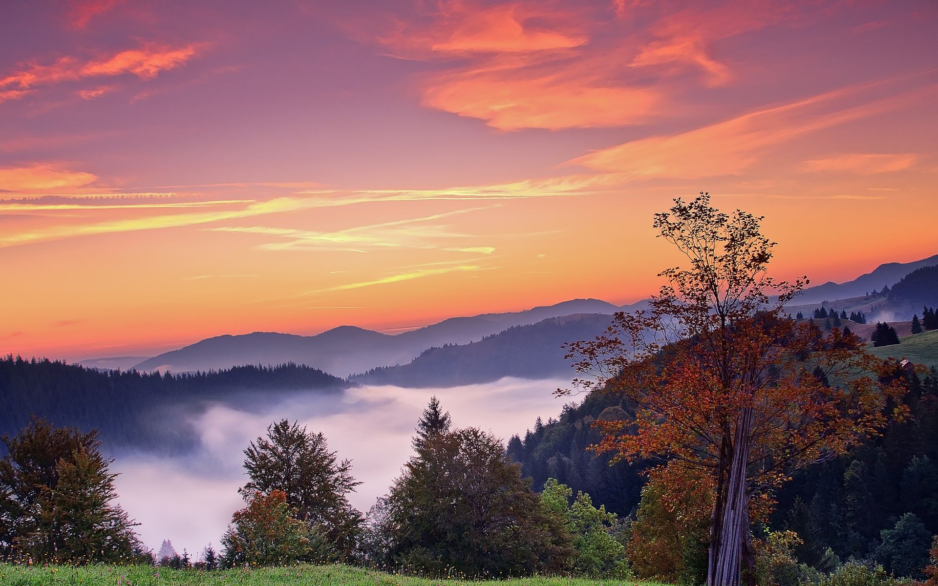 Nebbia autunnale su colline al tramonto, 1920x1200 Full HD+, Desktop