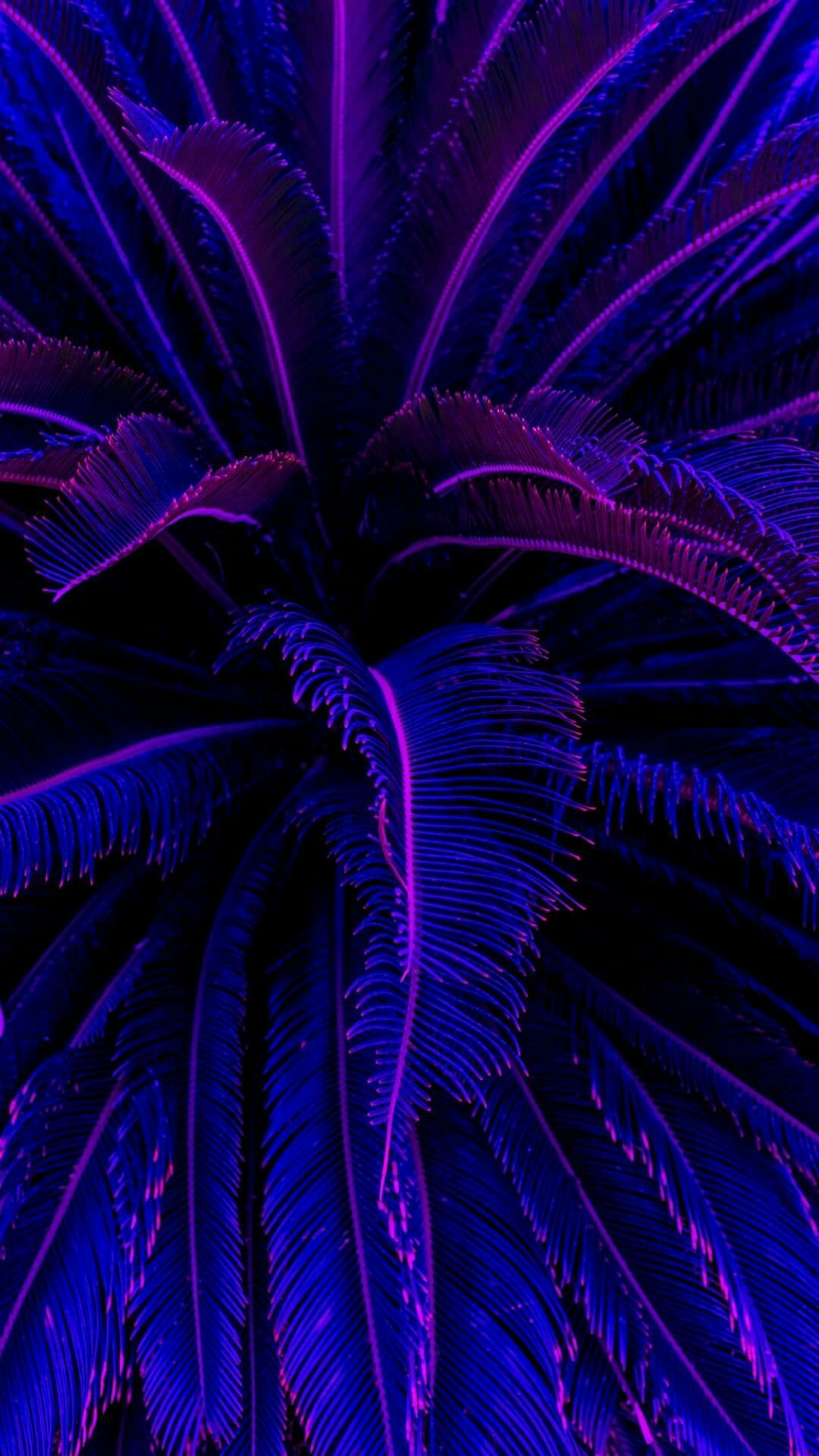 Foglie neon blu viola, 1080x1920 Full HD Verticale, Smartphone