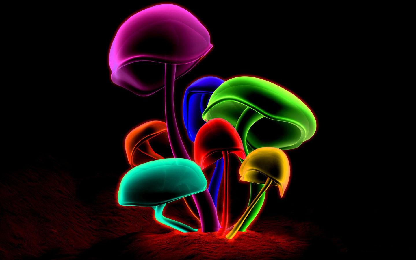 Gattino con luci neon colorate, 1920x1080 Full HD 1080p, PC