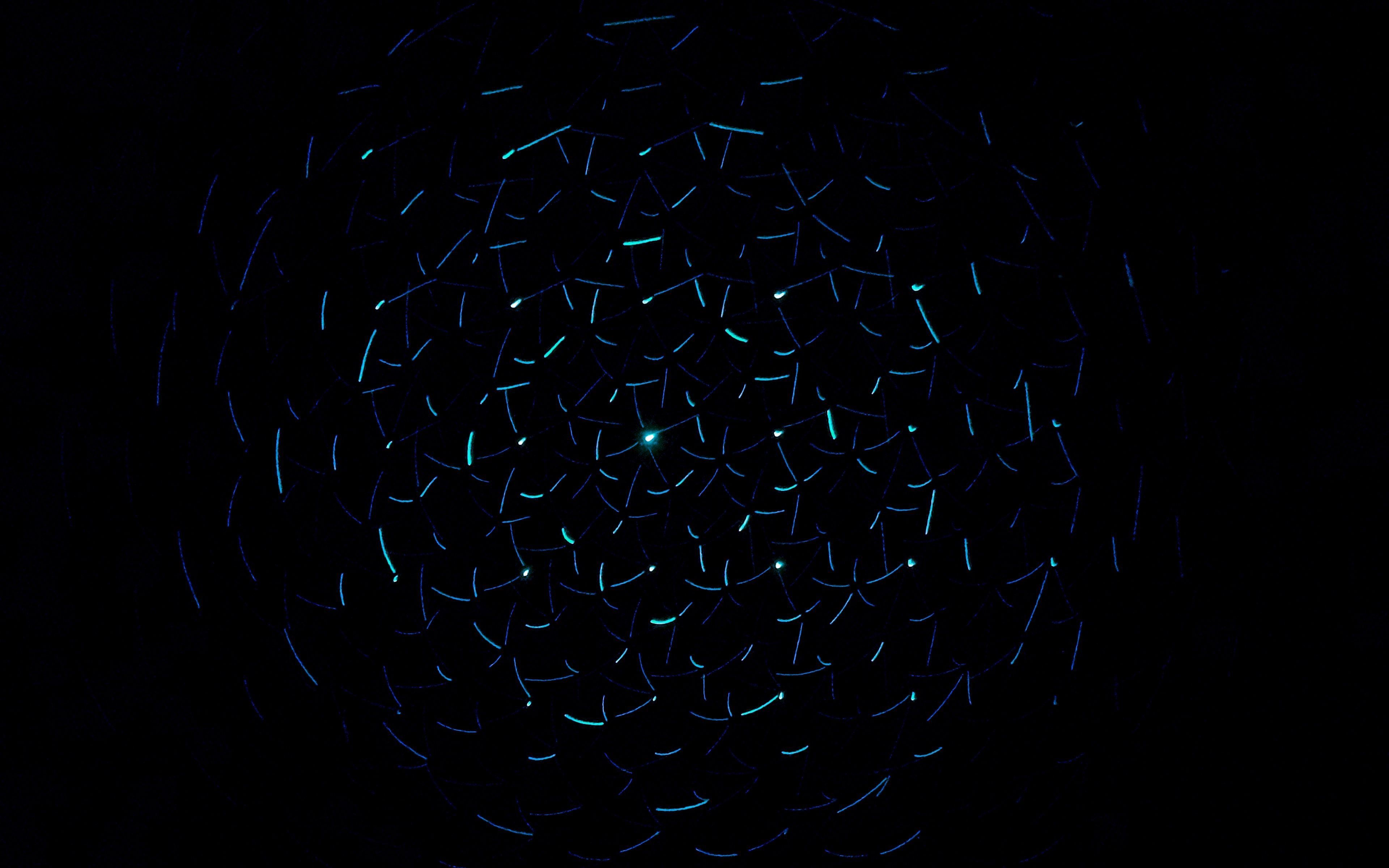 linea neon curva nera, 1440x3120 Verticale, Mobile