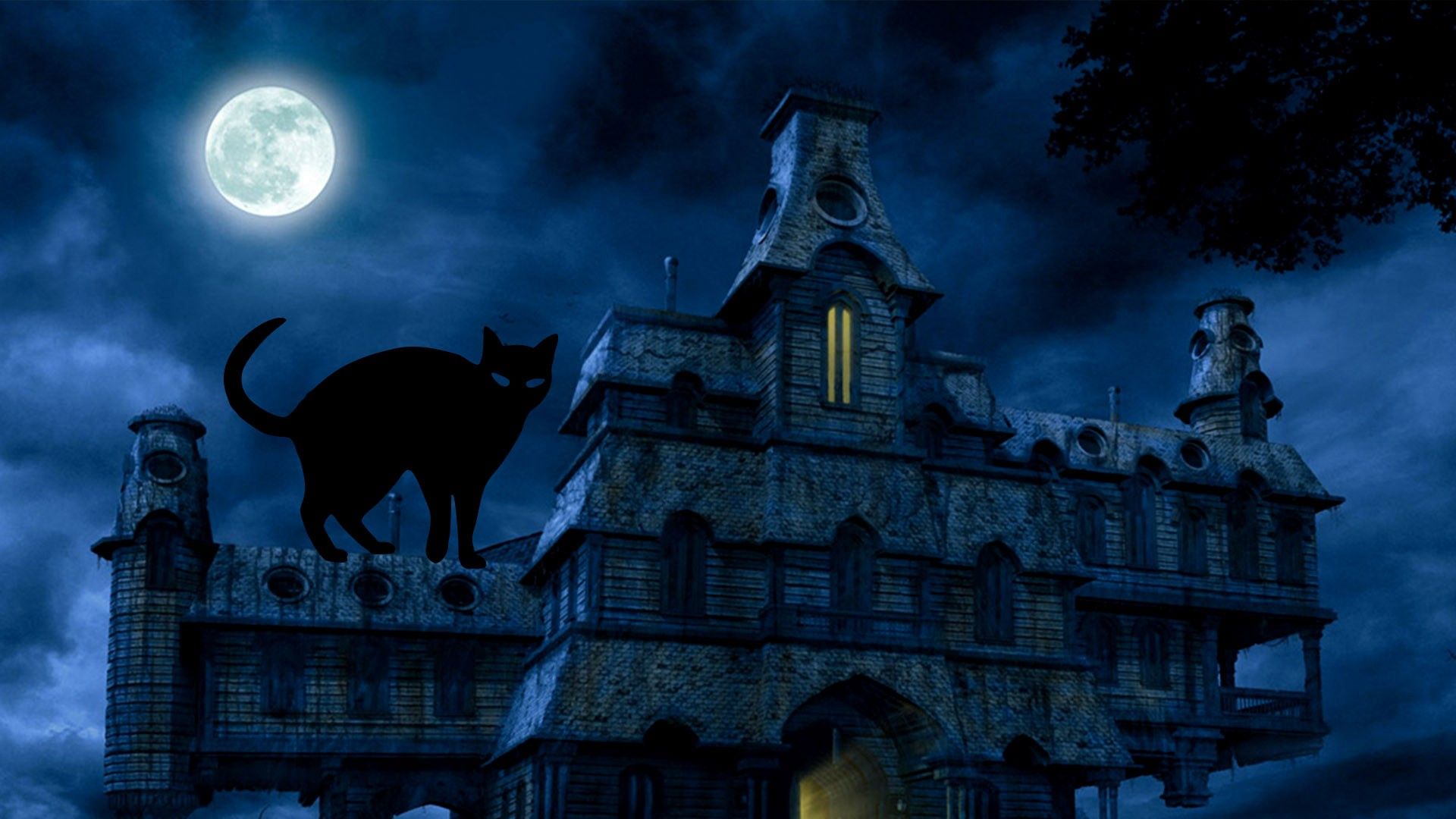 Gatto nero su casa spettrale, 1920x1080 Full HD 1080p, Monitor Gaming
