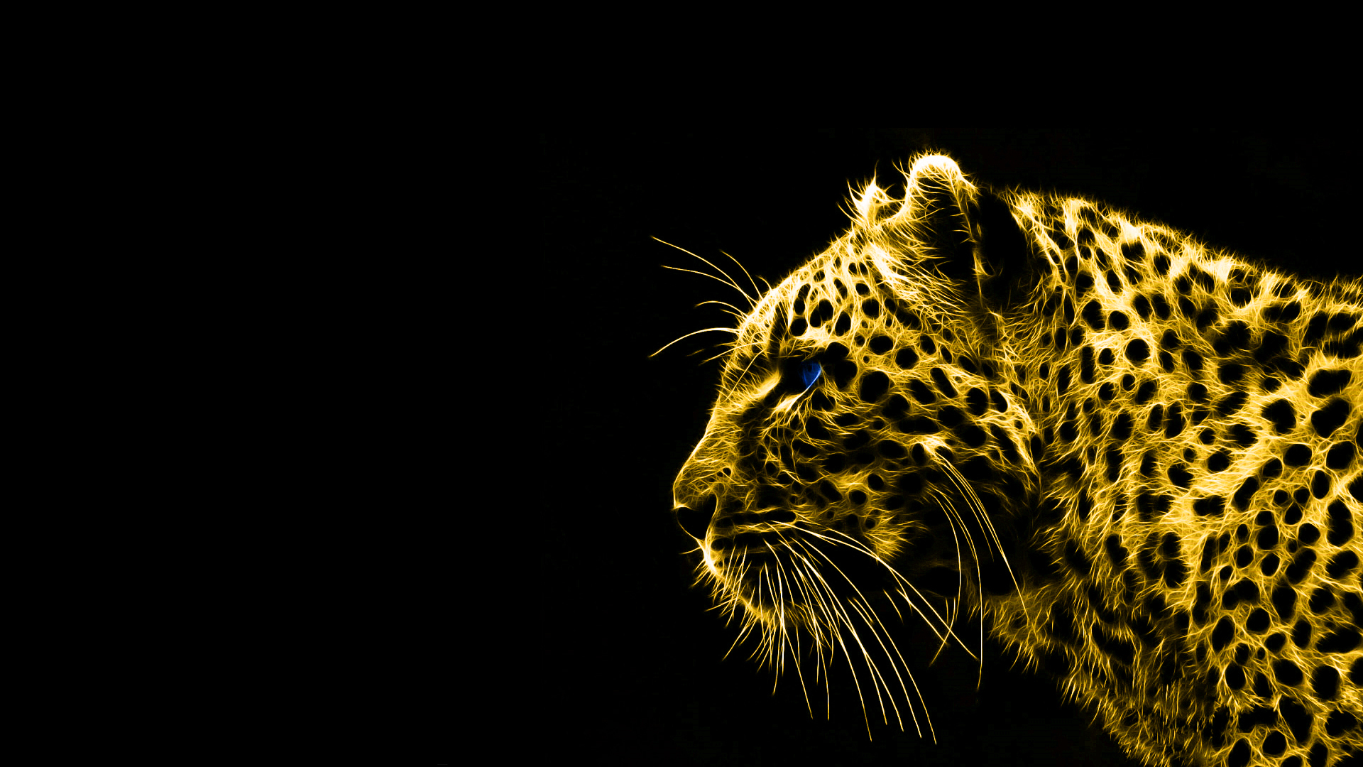 Leopardo dorato sfondo nero, 1920x1080 Full HD, Laptop
